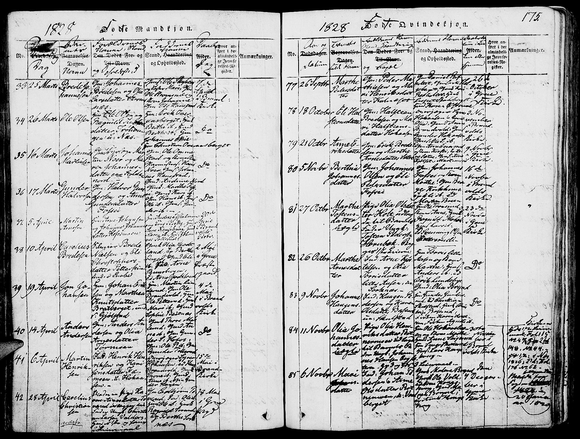 Grue prestekontor, AV/SAH-PREST-036/H/Ha/Haa/L0006: Parish register (official) no. 6, 1814-1830, p. 175