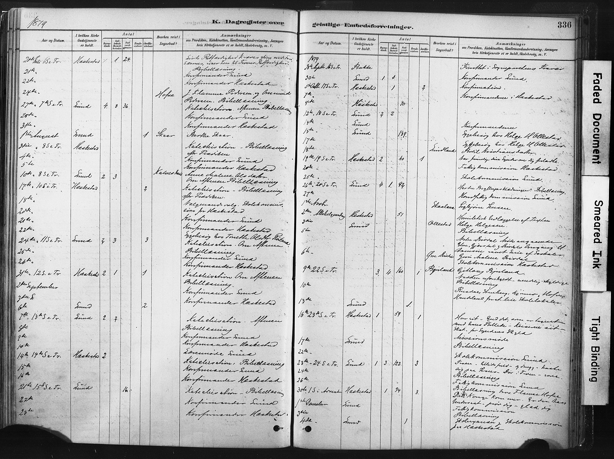 Lund sokneprestkontor, AV/SAST-A-101809/S06/L0011: Parish register (official) no. A 10, 1877-1904, p. 336