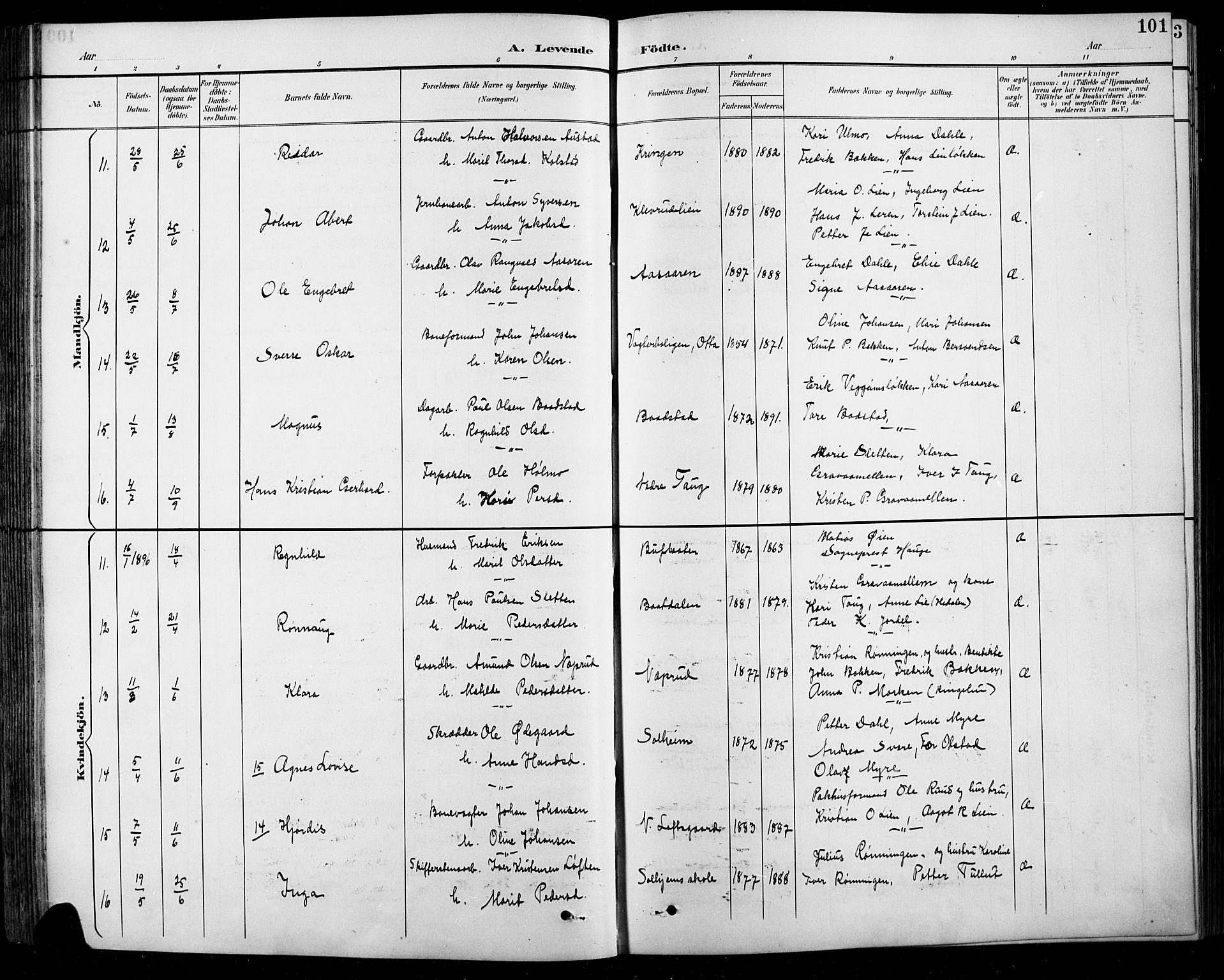 Sel prestekontor, AV/SAH-PREST-074/H/Ha/Hab/L0001: Parish register (copy) no. 1, 1894-1923, p. 101