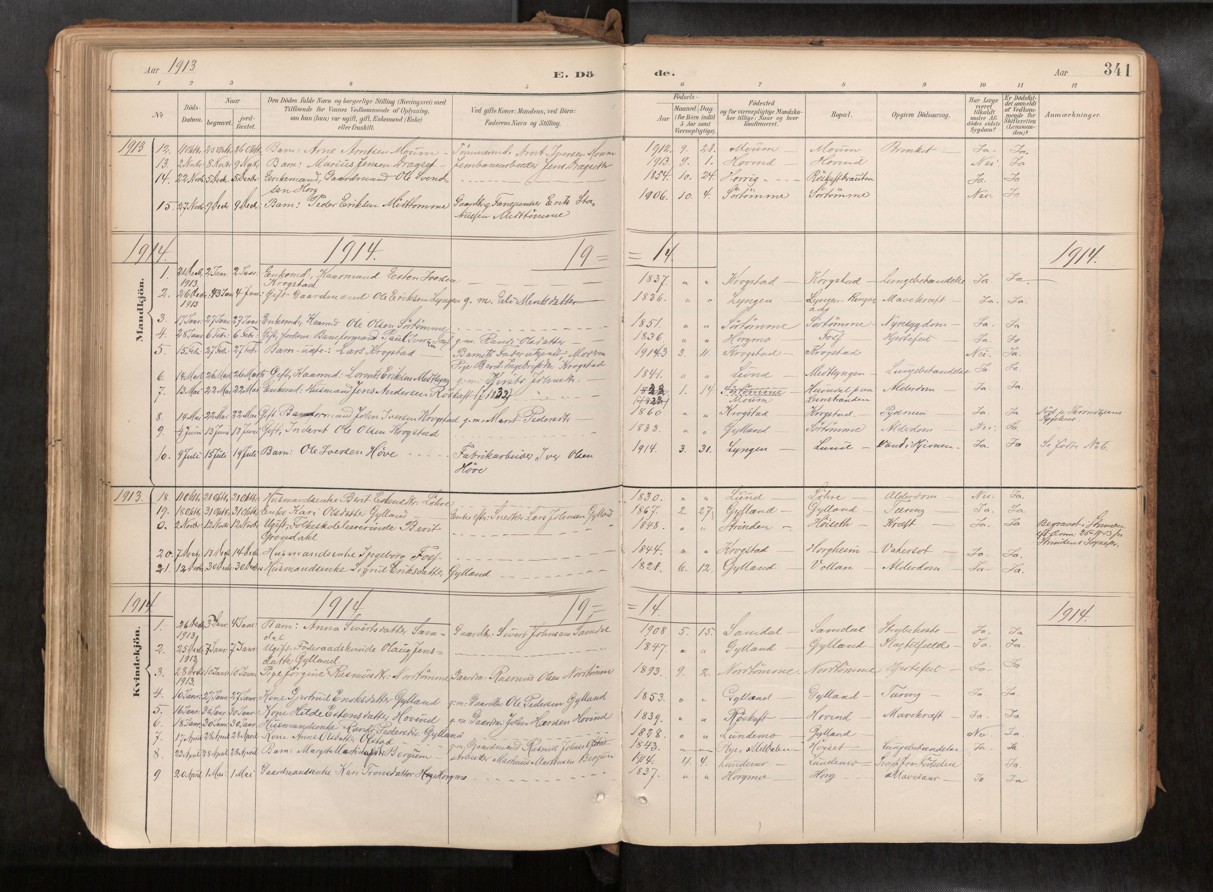 Ministerialprotokoller, klokkerbøker og fødselsregistre - Sør-Trøndelag, SAT/A-1456/692/L1105b: Parish register (official) no. 692A06, 1891-1934, p. 341