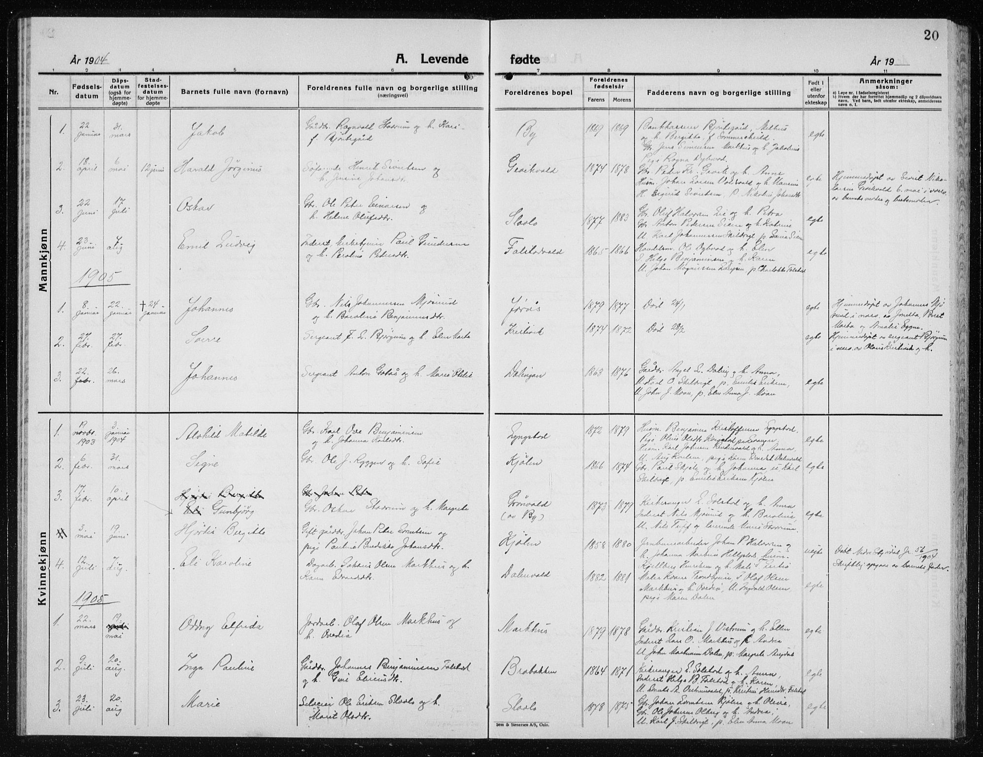 Ministerialprotokoller, klokkerbøker og fødselsregistre - Nord-Trøndelag, SAT/A-1458/719/L0180: Parish register (copy) no. 719C01, 1878-1940, p. 20