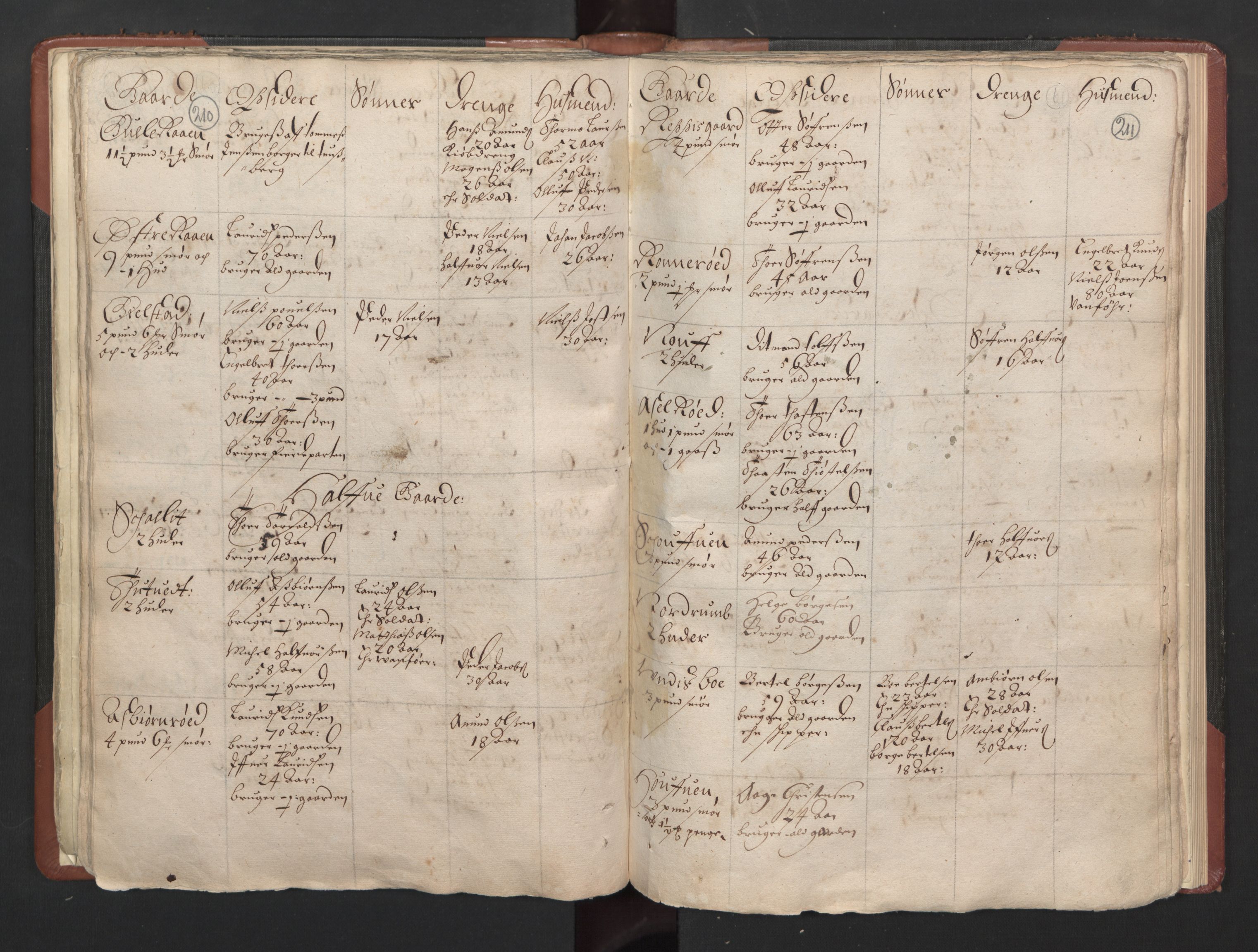 RA, Bailiff's Census 1664-1666, no. 5: Modern Buskerud county and modern Vestfold county, 1664, p. 210-211