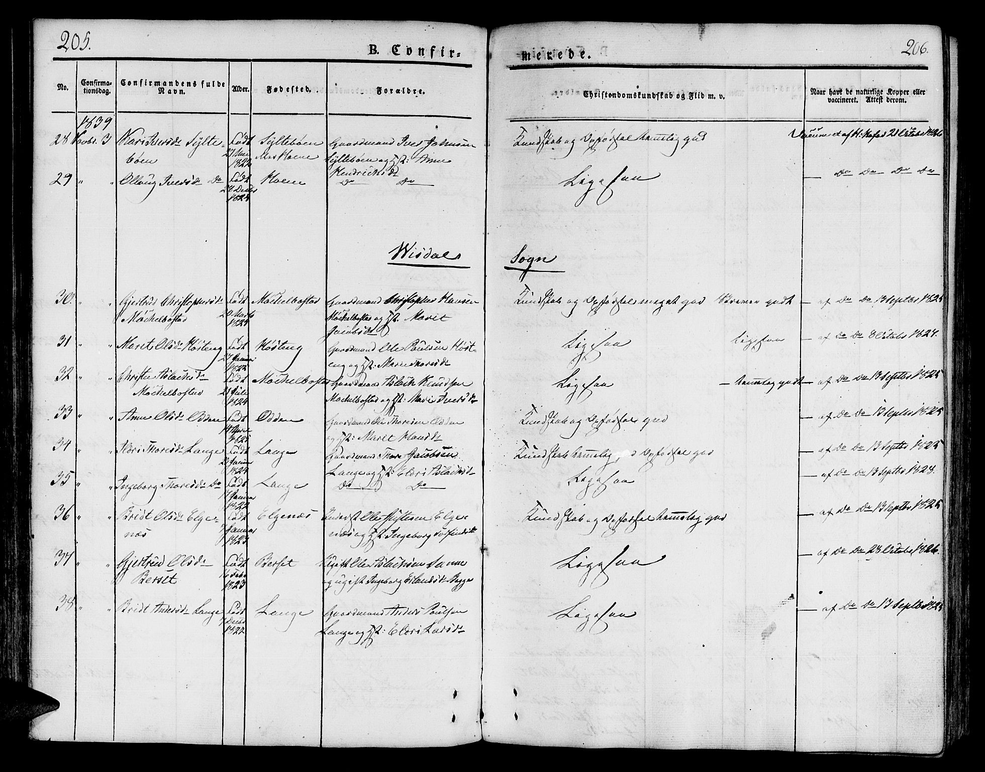 Ministerialprotokoller, klokkerbøker og fødselsregistre - Møre og Romsdal, SAT/A-1454/551/L0624: Parish register (official) no. 551A04, 1831-1845, p. 205-206