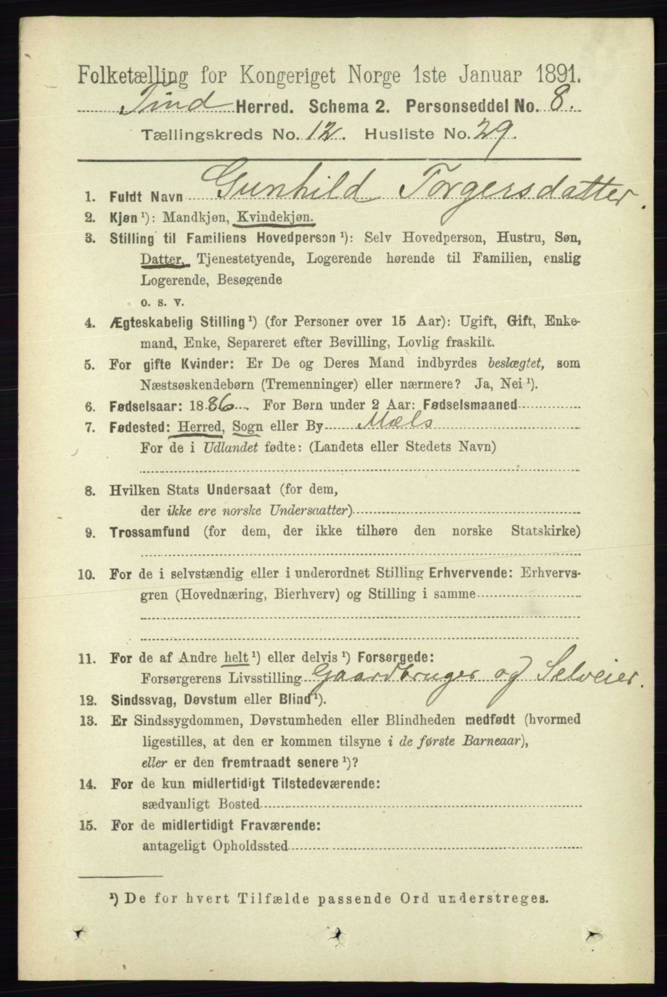 RA, 1891 census for 0826 Tinn, 1891, p. 2484