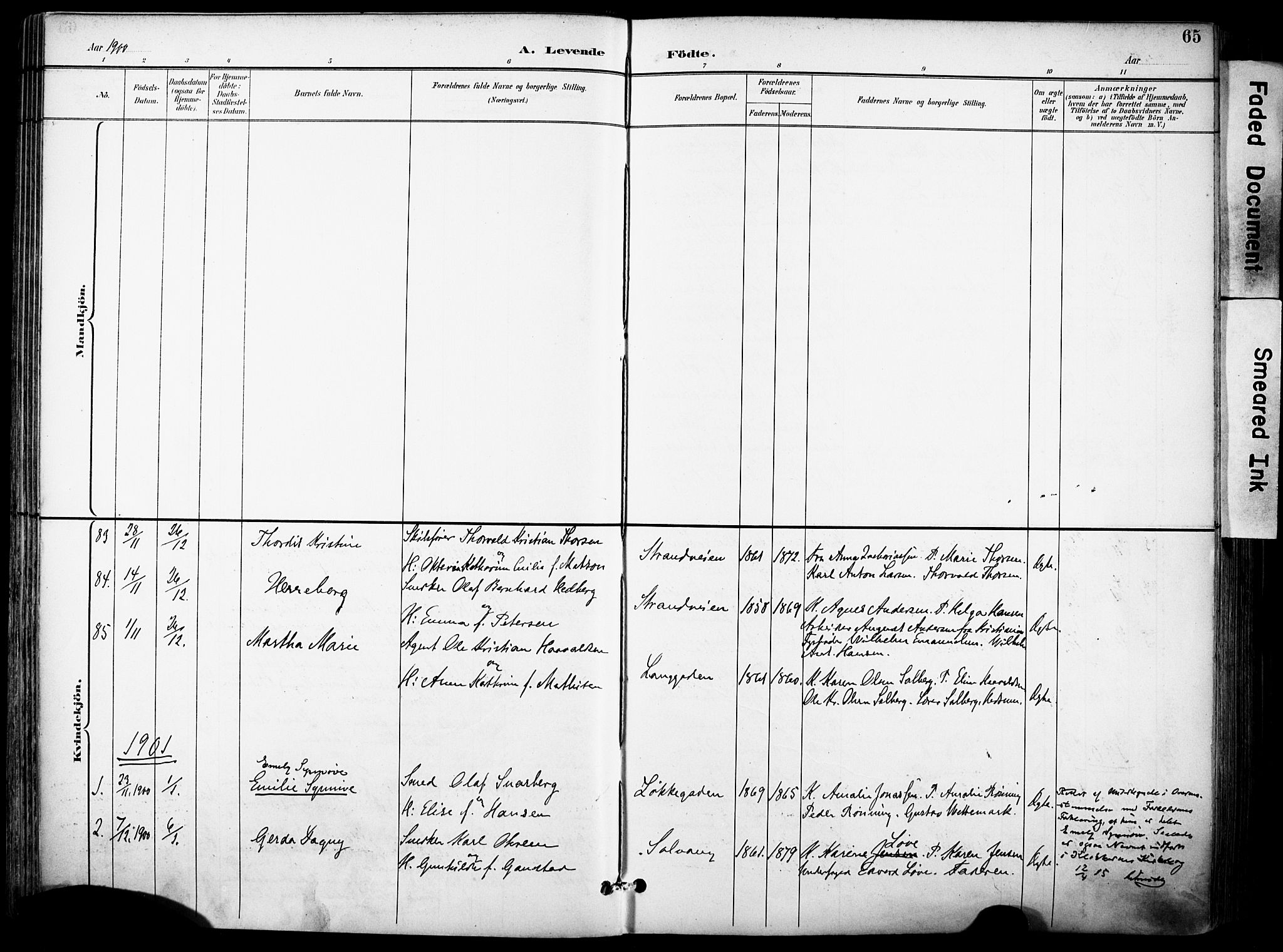 Sandefjord kirkebøker, SAKO/A-315/F/Fa/L0004: Parish register (official) no. 4, 1894-1905, p. 65