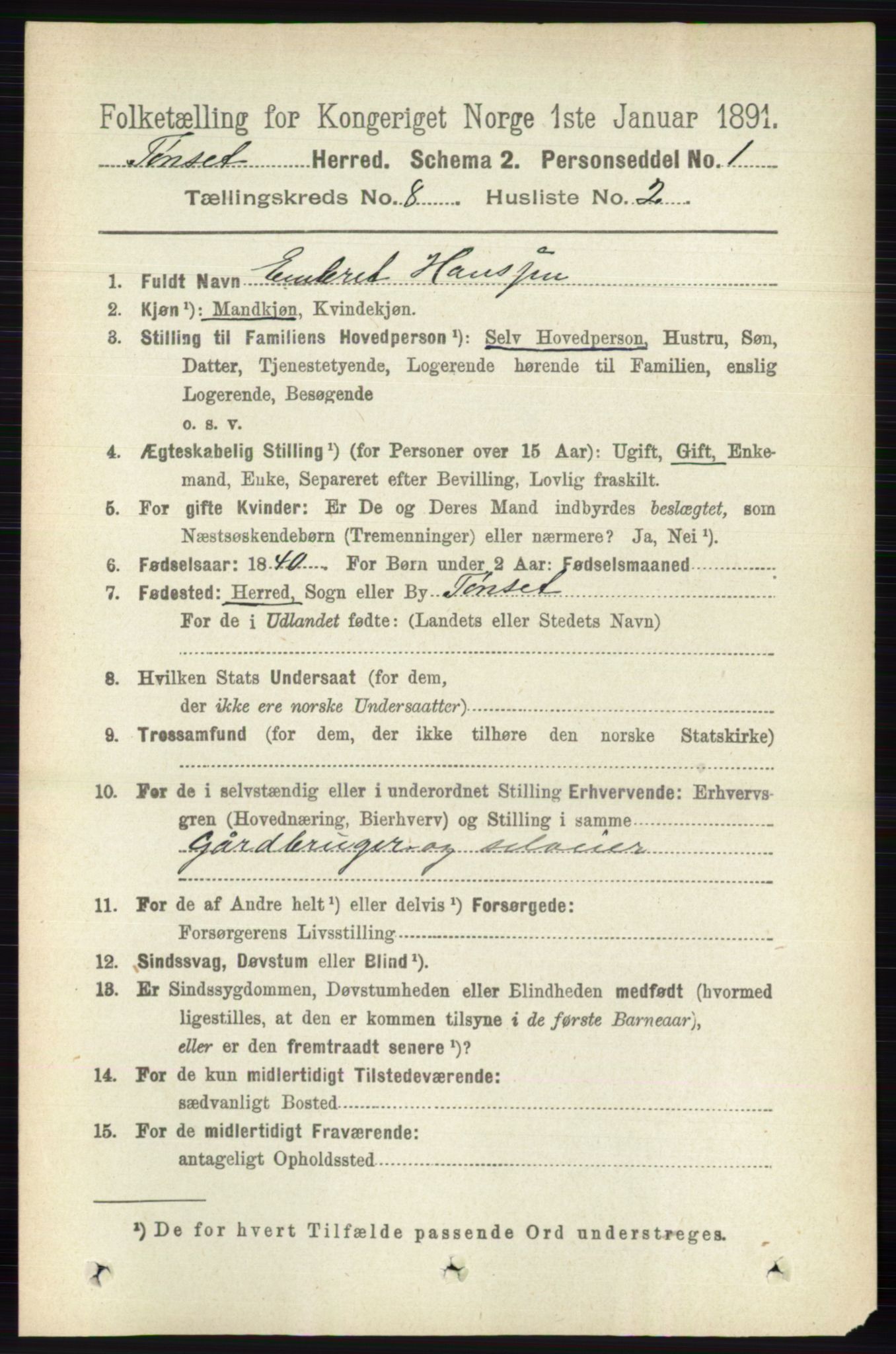 RA, 1891 census for 0437 Tynset, 1891, p. 2081