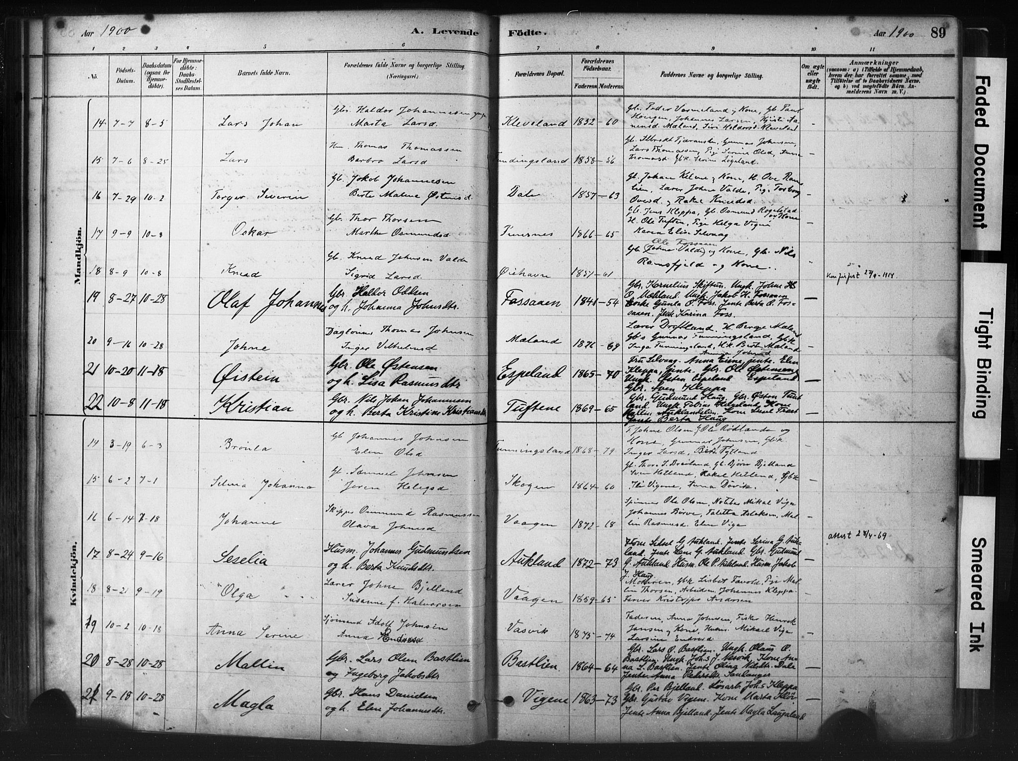 Hjelmeland sokneprestkontor, AV/SAST-A-101843/01/IV/L0014: Parish register (official) no. A 14, 1879-1900, p. 89