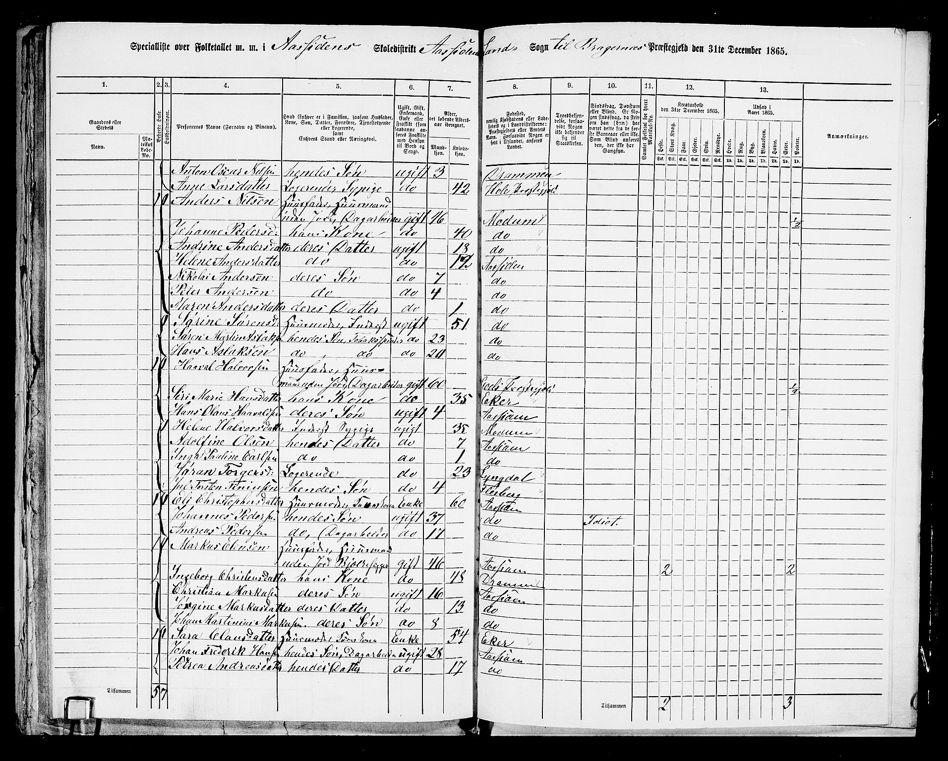 RA, 1865 census for Bragernes/Åssiden, 1865, p. 36