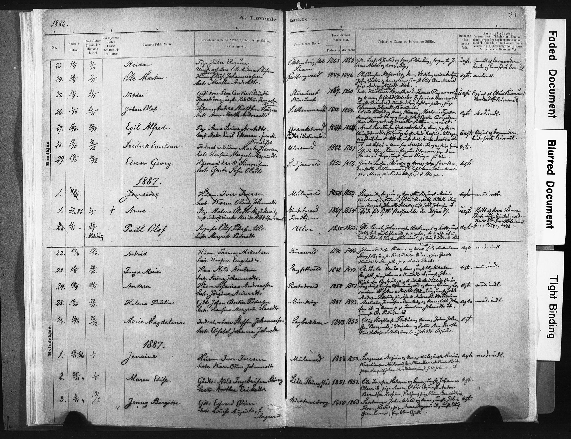 Ministerialprotokoller, klokkerbøker og fødselsregistre - Nord-Trøndelag, SAT/A-1458/721/L0207: Parish register (official) no. 721A02, 1880-1911, p. 24