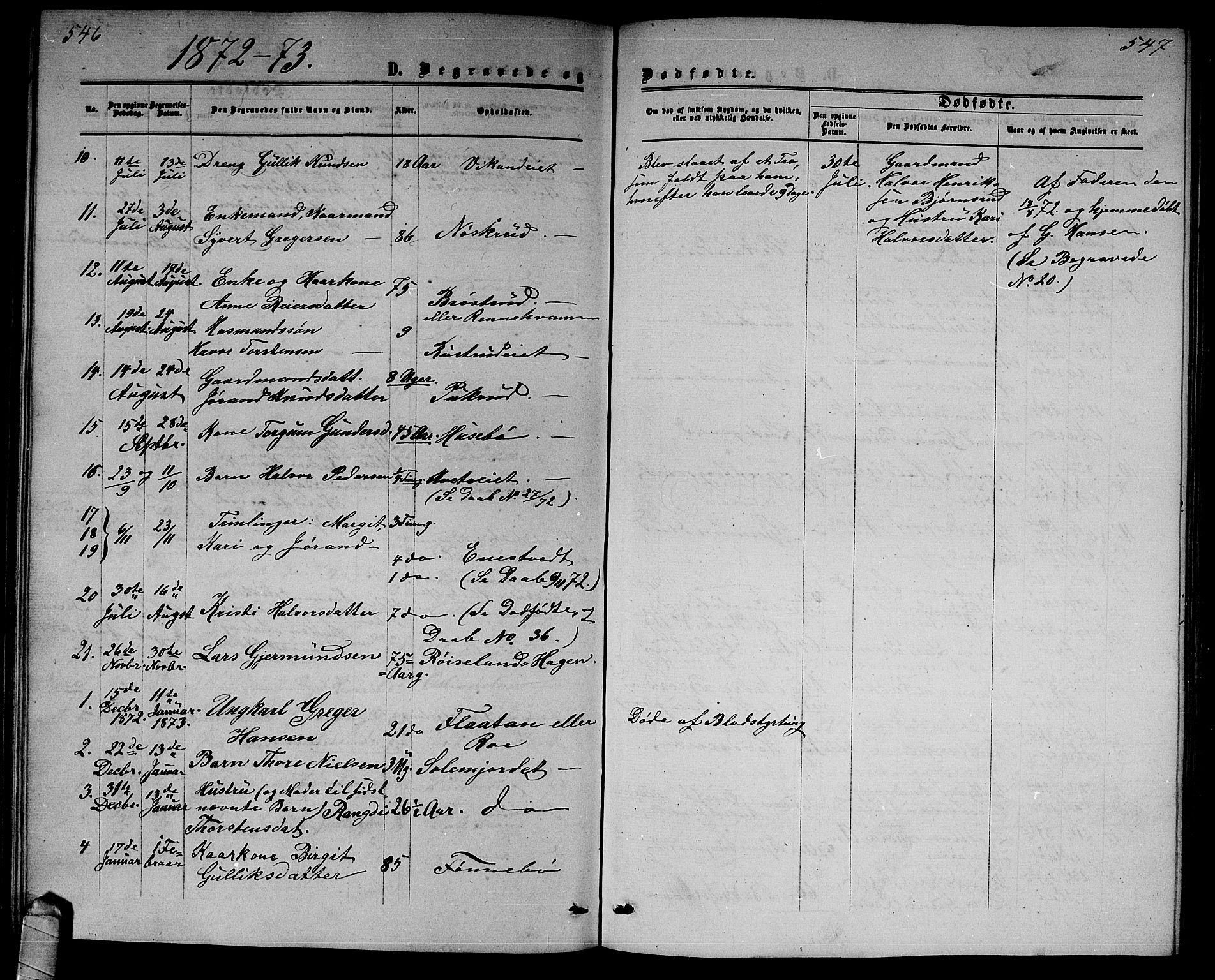 Nore kirkebøker, SAKO/A-238/G/Gb/L0001: Parish register (copy) no. II 1, 1862-1877, p. 546-547