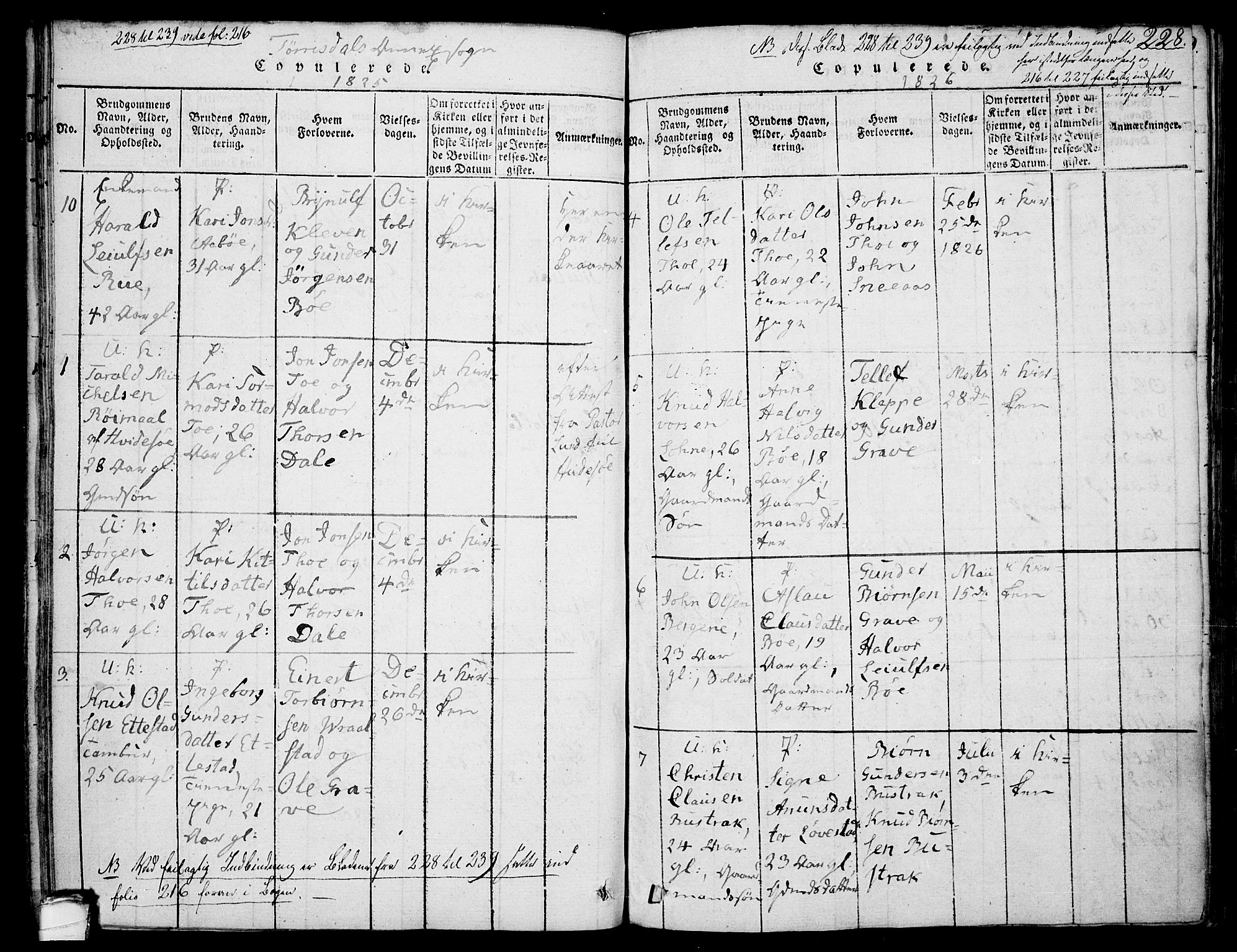 Drangedal kirkebøker, SAKO/A-258/F/Fa/L0005: Parish register (official) no. 5 /2, 1814-1831, p. 228