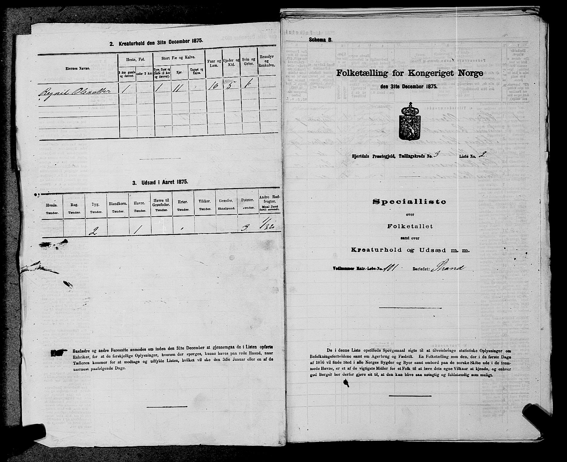 SAKO, 1875 census for 0827P Hjartdal, 1875, p. 339
