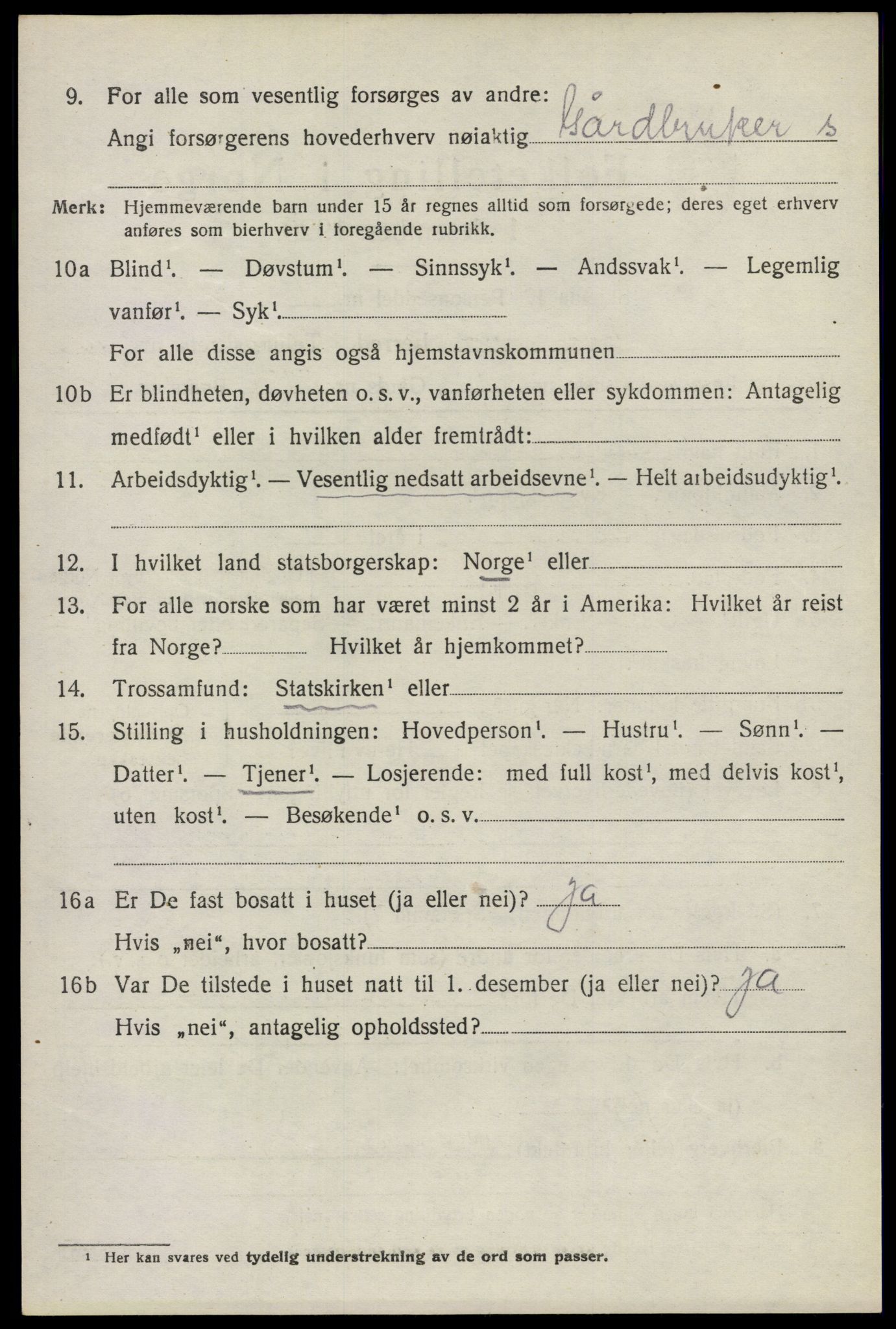 SAO, 1920 census for Nes, 1920, p. 21071