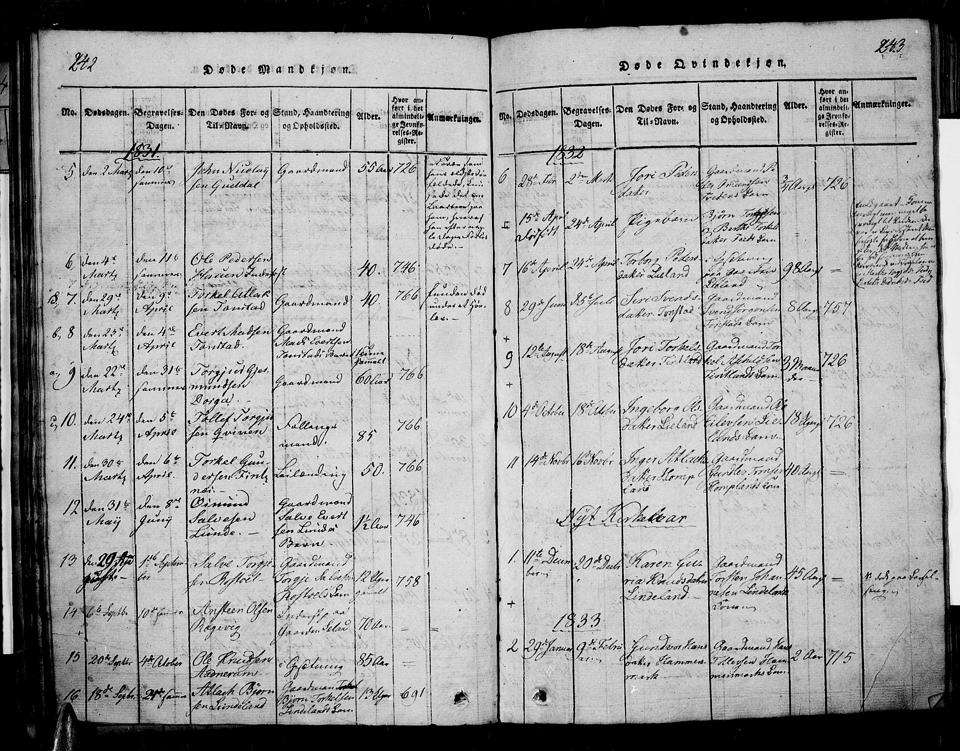 Sirdal sokneprestkontor, SAK/1111-0036/F/Fa/Fab/L0001: Parish register (official) no. A 1, 1815-1834, p. 242-243