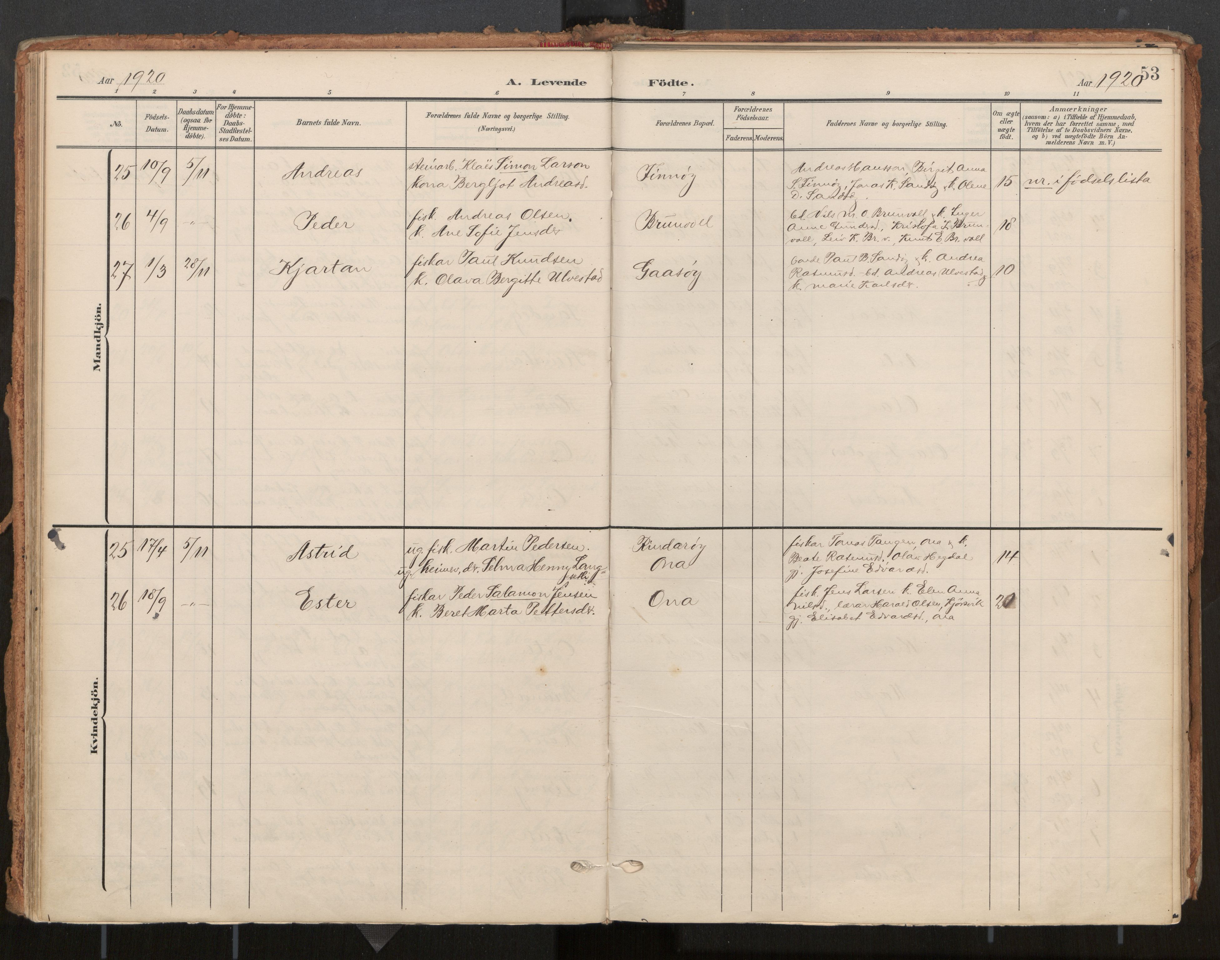 Ministerialprotokoller, klokkerbøker og fødselsregistre - Møre og Romsdal, AV/SAT-A-1454/561/L0730: Parish register (official) no. 561A04, 1901-1929, p. 53