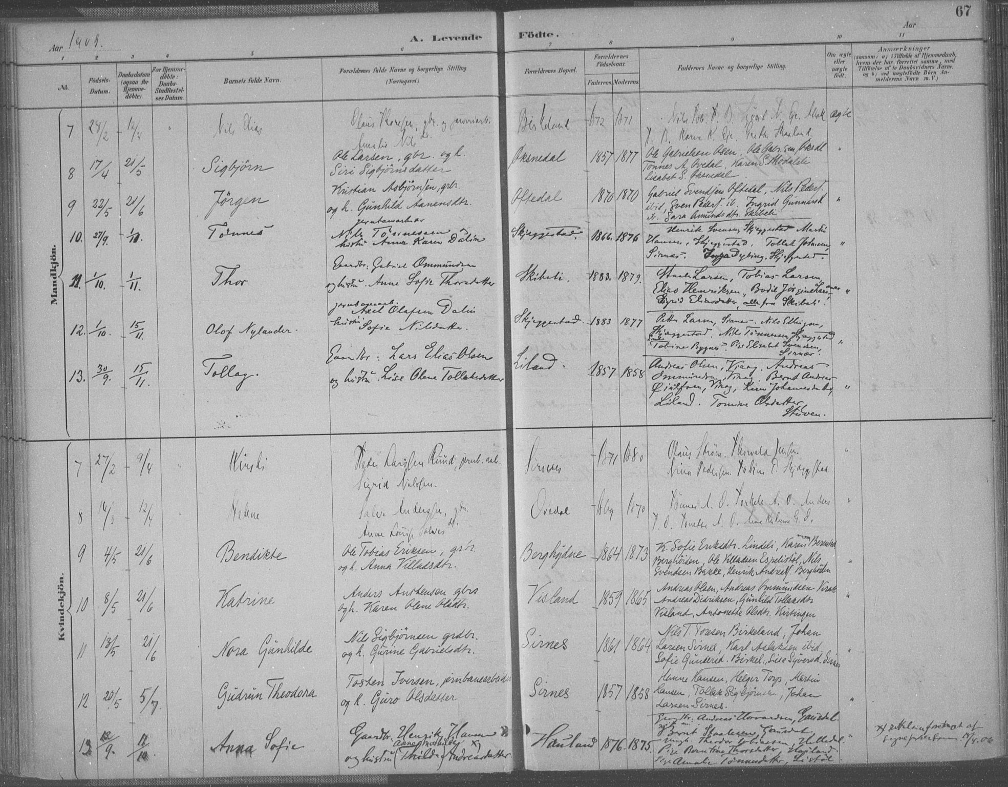 Bakke sokneprestkontor, AV/SAK-1111-0002/F/Fa/Faa/L0008: Parish register (official) no. A 8, 1887-1911, p. 67