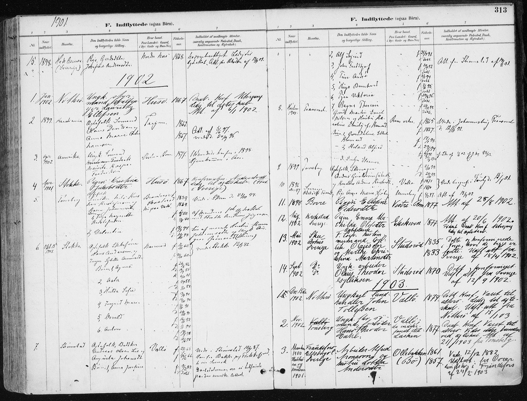 Sem kirkebøker, AV/SAKO-A-5/F/Fb/L0005: Parish register (official) no. II 5, 1892-1904, p. 313