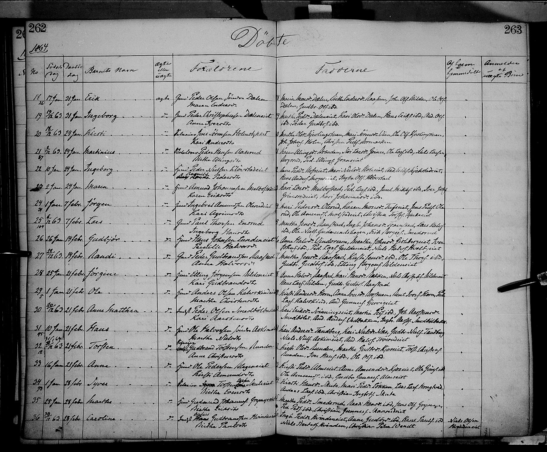 Gran prestekontor, SAH/PREST-112/H/Ha/Haa/L0012: Parish register (official) no. 12, 1856-1874, p. 262-263