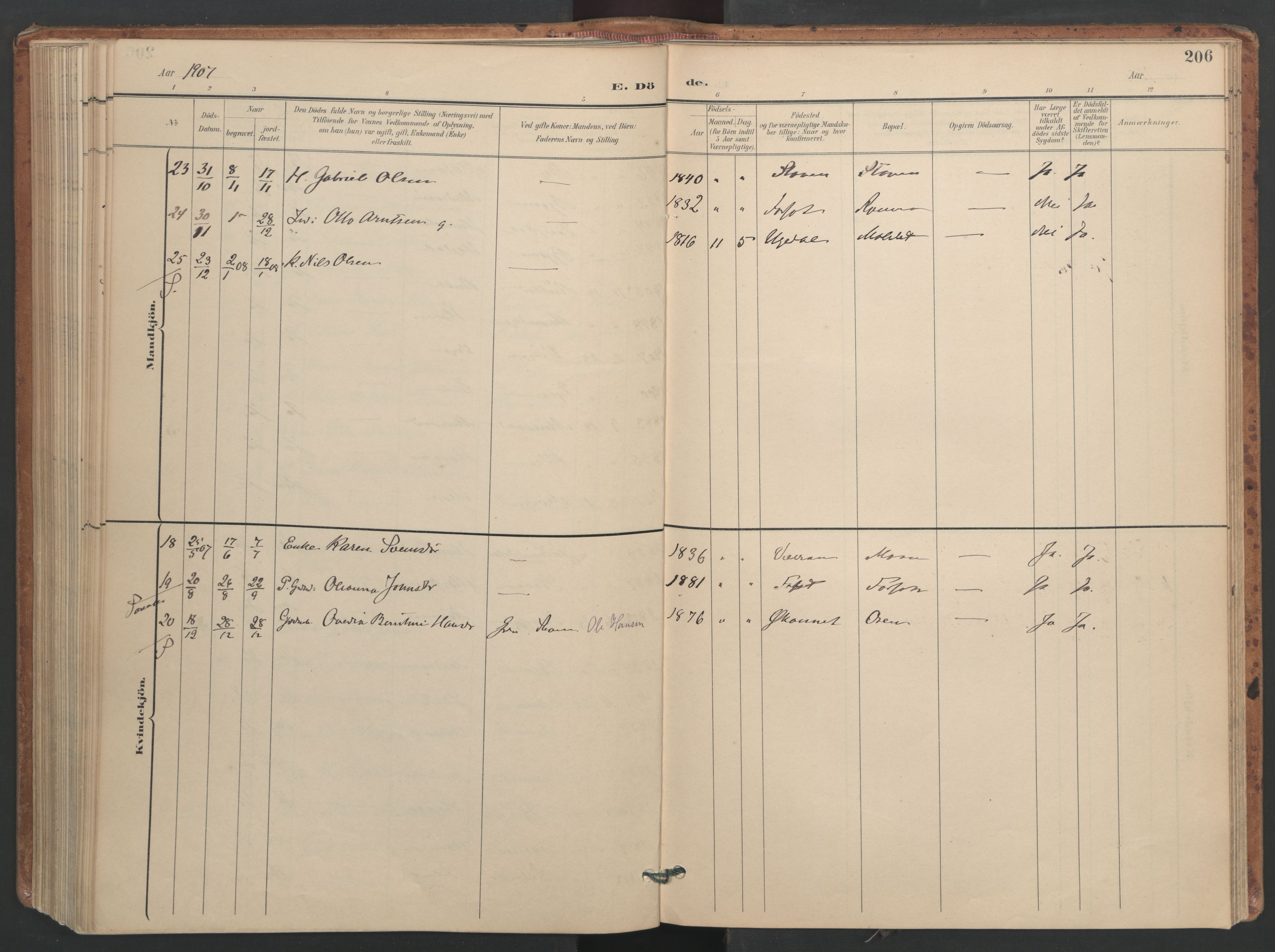 Ministerialprotokoller, klokkerbøker og fødselsregistre - Sør-Trøndelag, AV/SAT-A-1456/655/L0681: Parish register (official) no. 655A10, 1895-1907, p. 206