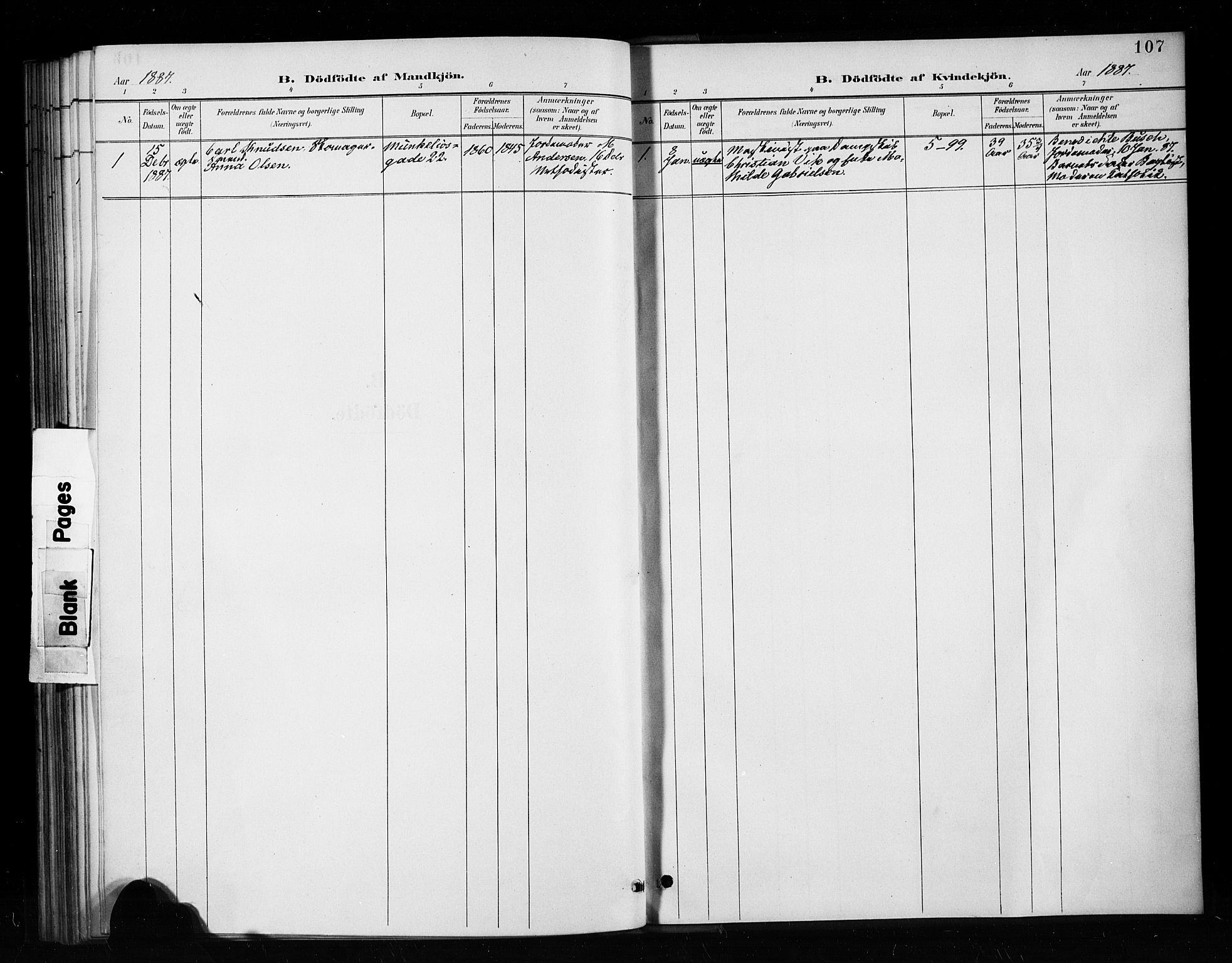 Nykirken Sokneprestembete, AV/SAB-A-77101/H/Haa/L0053: Parish register (official) no. H 2, 1887-1897, p. 107
