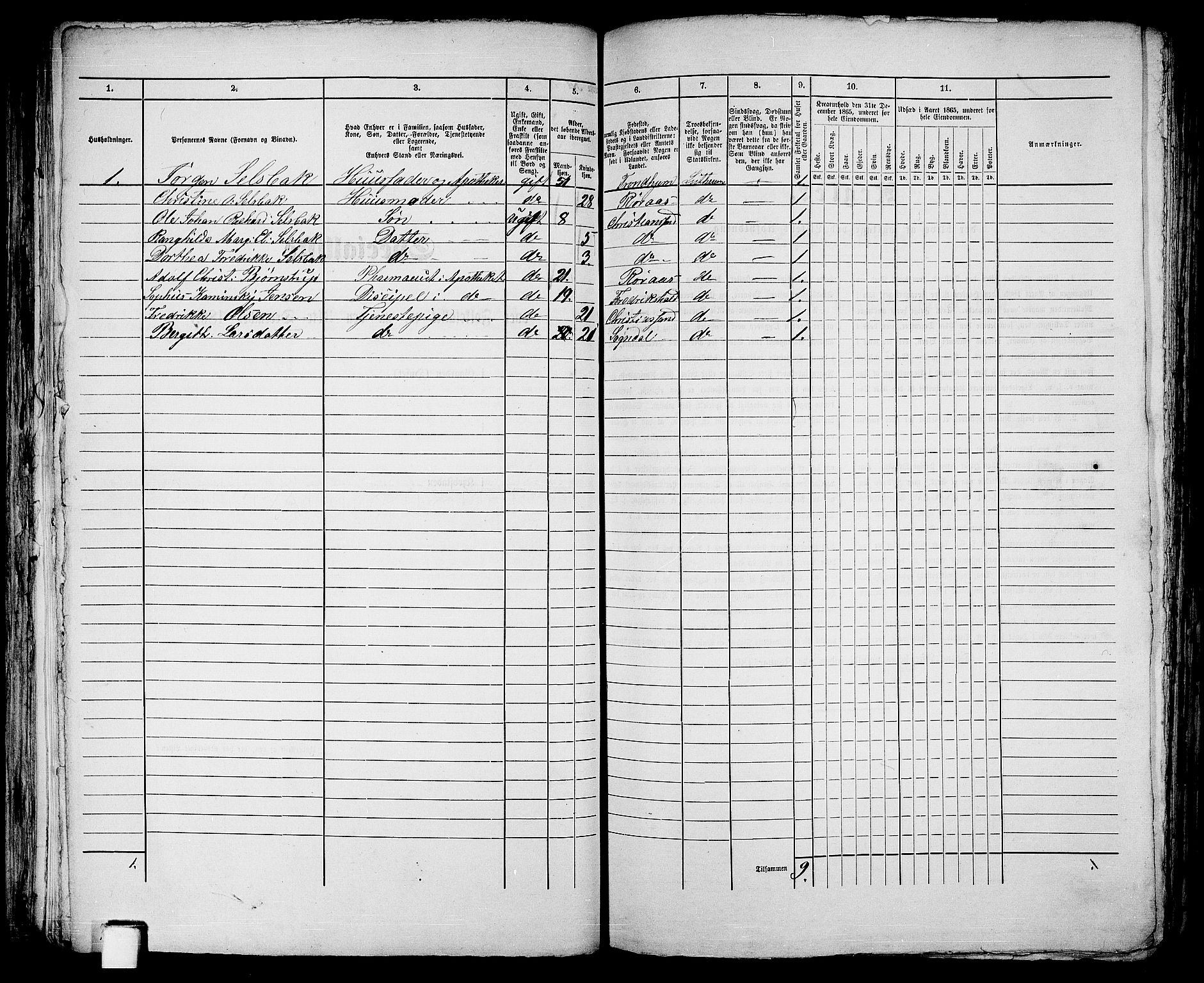 RA, 1865 census for Kristiansand, 1865, p. 1677