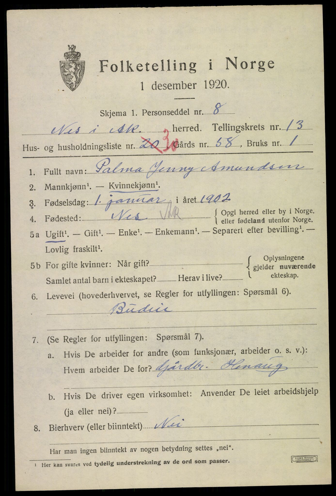 SAO, 1920 census for Nes, 1920, p. 13692