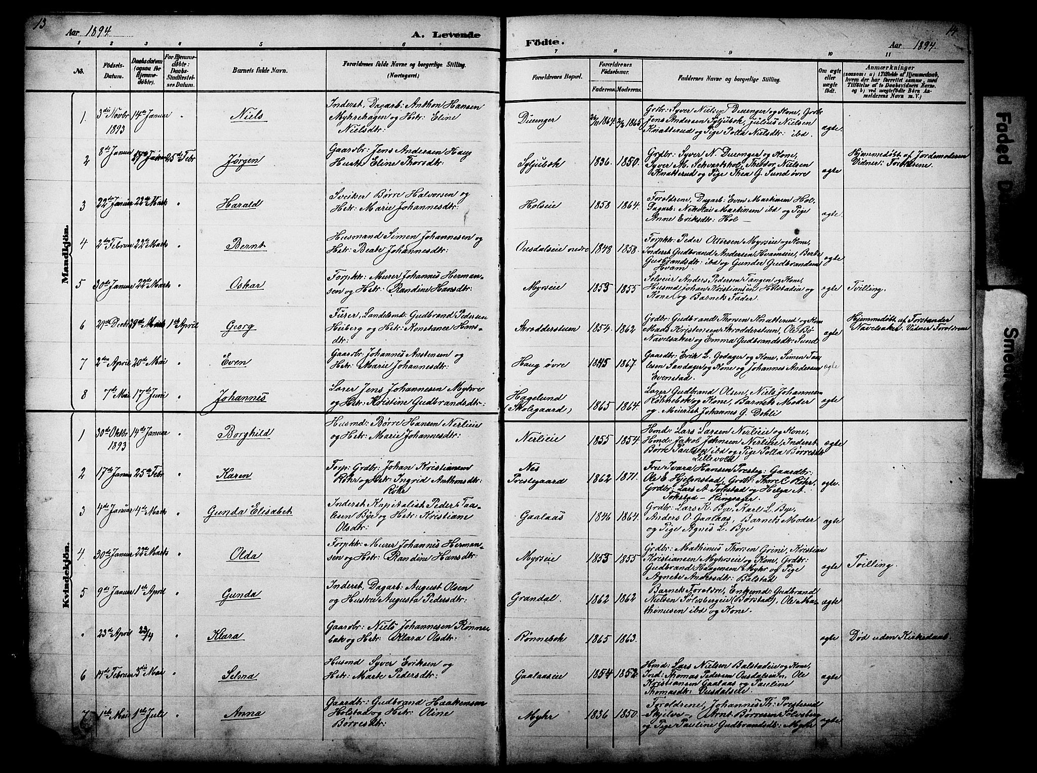 Nes prestekontor, Hedmark, AV/SAH-PREST-020/L/La/L0006: Parish register (copy) no. 6, 1890-1932, p. 13-14