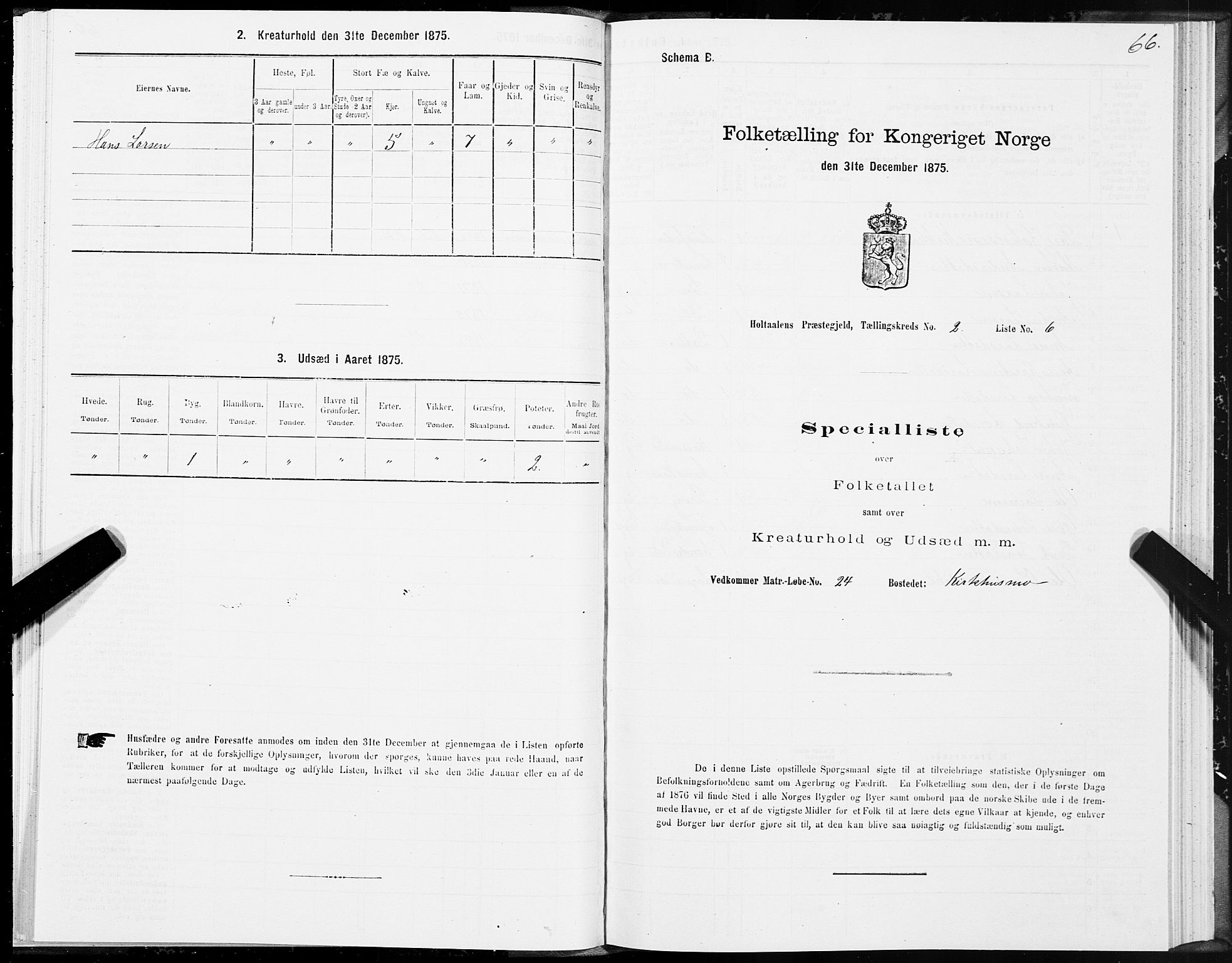 SAT, 1875 census for 1645P Haltdalen, 1875, p. 4066
