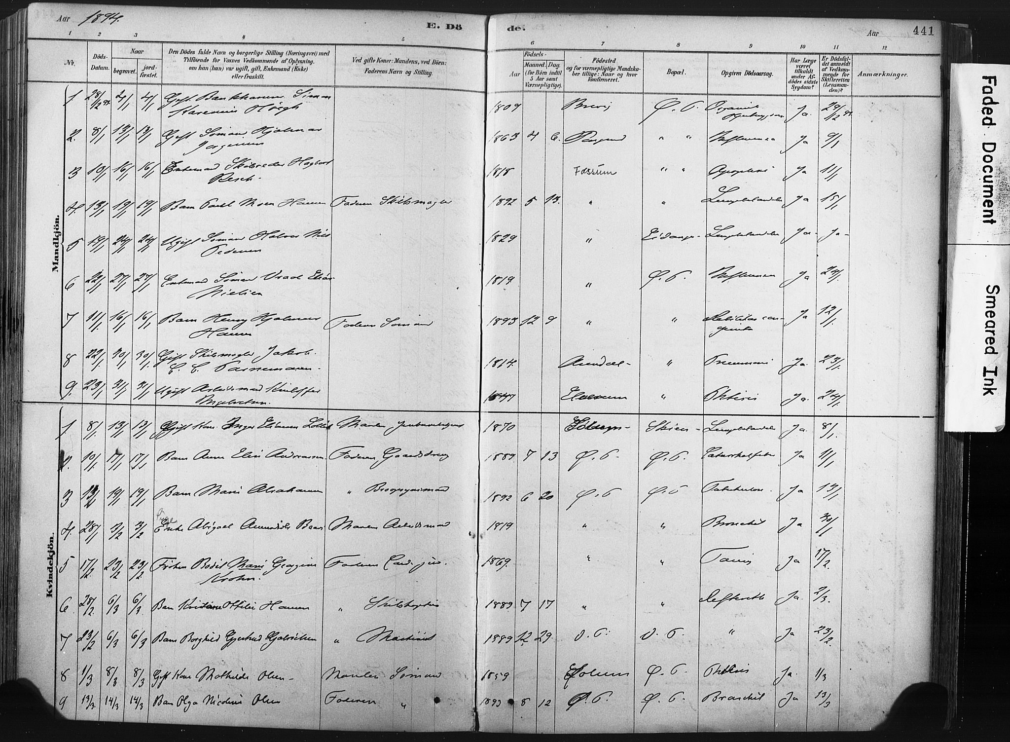 Porsgrunn kirkebøker , SAKO/A-104/F/Fa/L0008: Parish register (official) no. 8, 1878-1895, p. 441