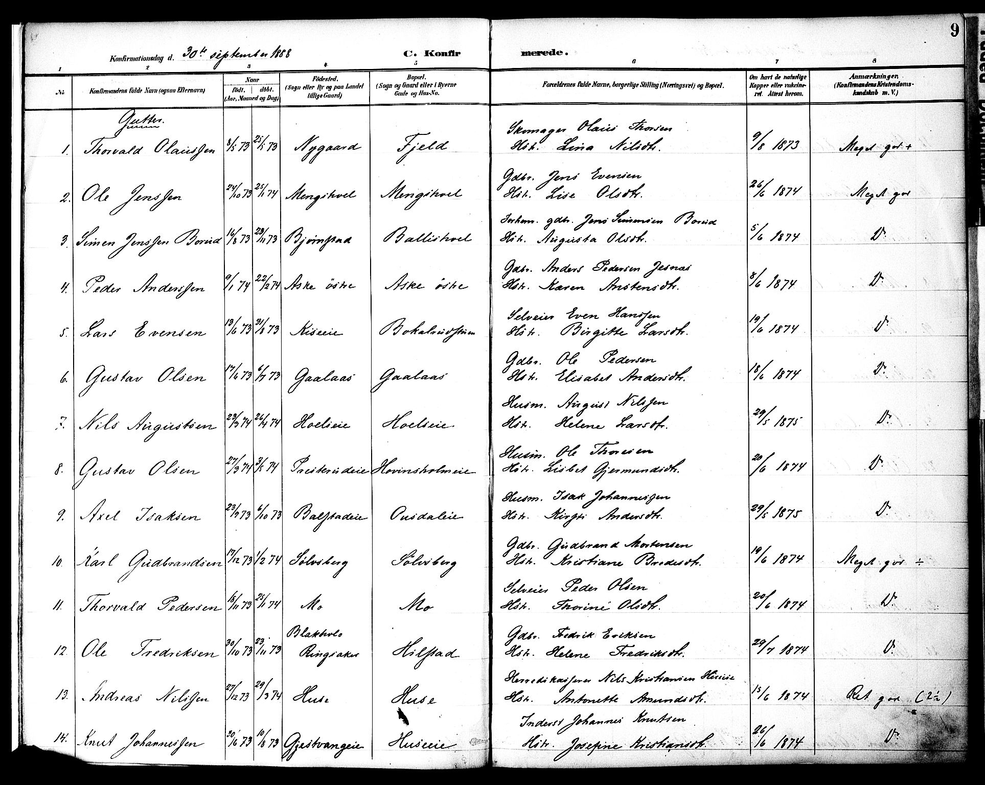 Nes prestekontor, Hedmark, AV/SAH-PREST-020/K/Ka/L0010: Parish register (official) no. 10, 1887-1905, p. 9