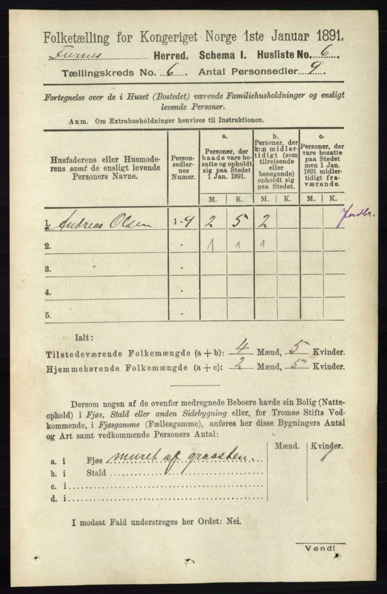 RA, Census 1891 for 0413 Furnes herred, 1891, p. 4062