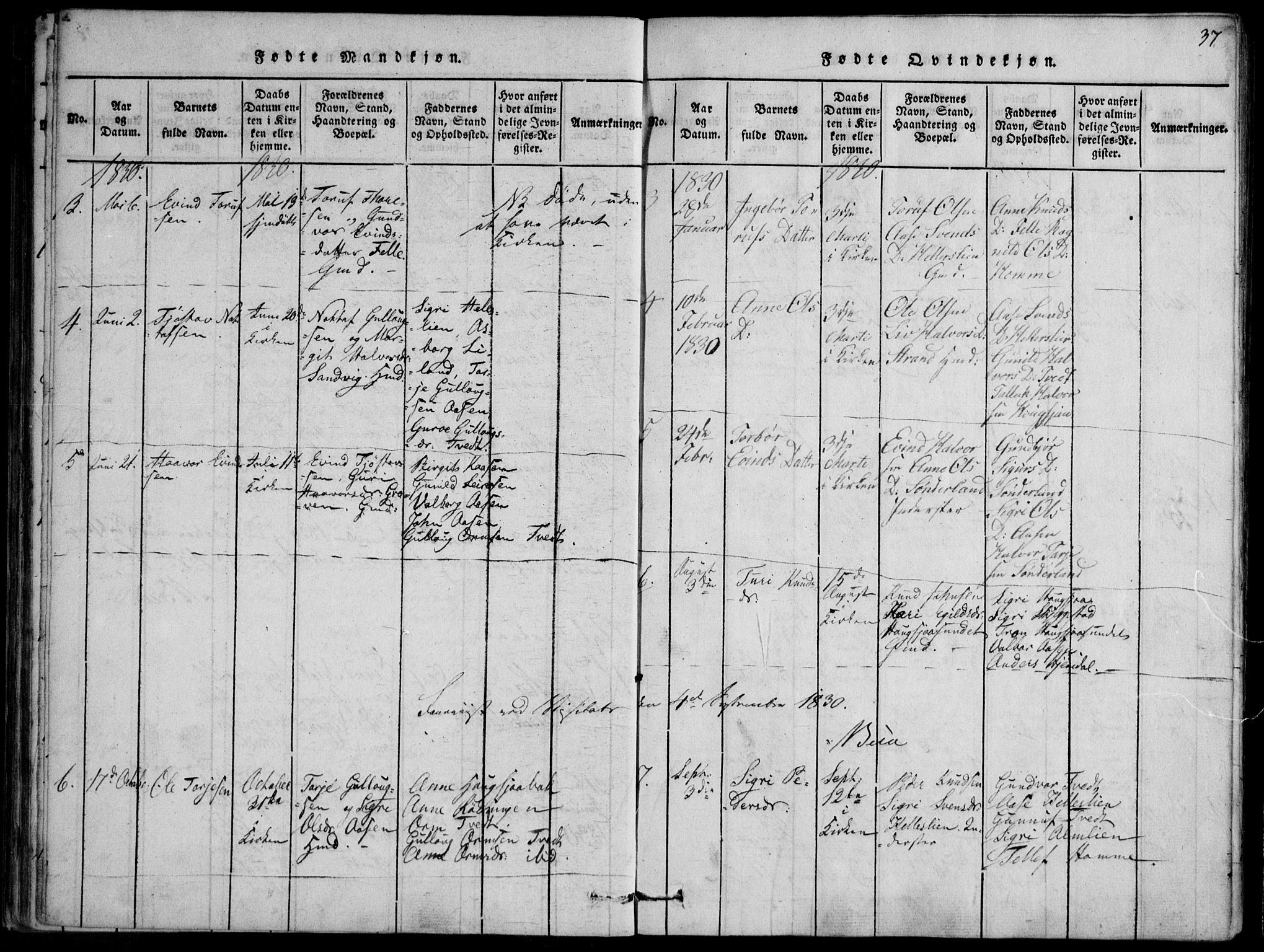 Nissedal kirkebøker, SAKO/A-288/F/Fb/L0001: Parish register (official) no. II 1, 1814-1845, p. 37