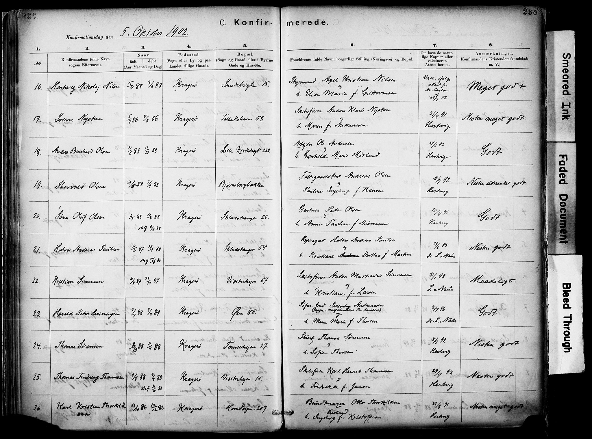 Kragerø kirkebøker, SAKO/A-278/F/Fa/L0012: Parish register (official) no. 12, 1880-1904, p. 238