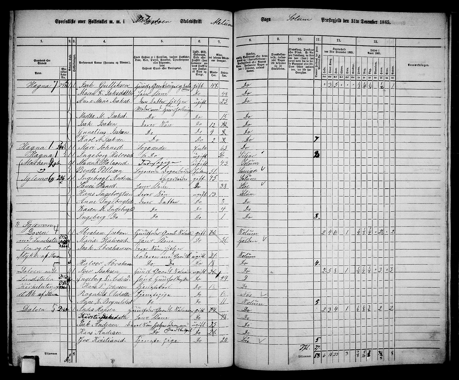 RA, 1865 census for Solum, 1865, p. 194