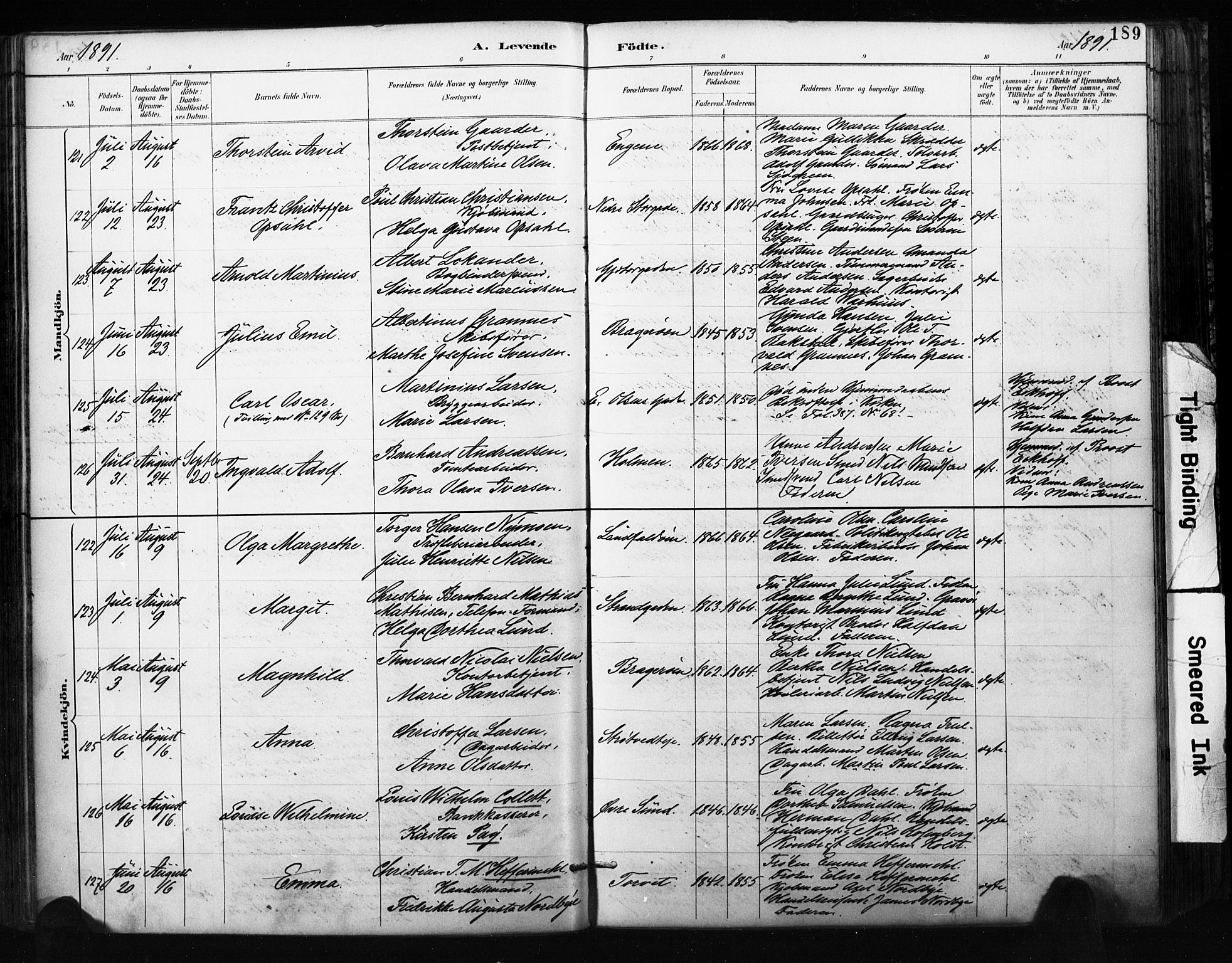 Bragernes kirkebøker, AV/SAKO-A-6/F/Fb/L0007: Parish register (official) no. II 7, 1885-1893, p. 189