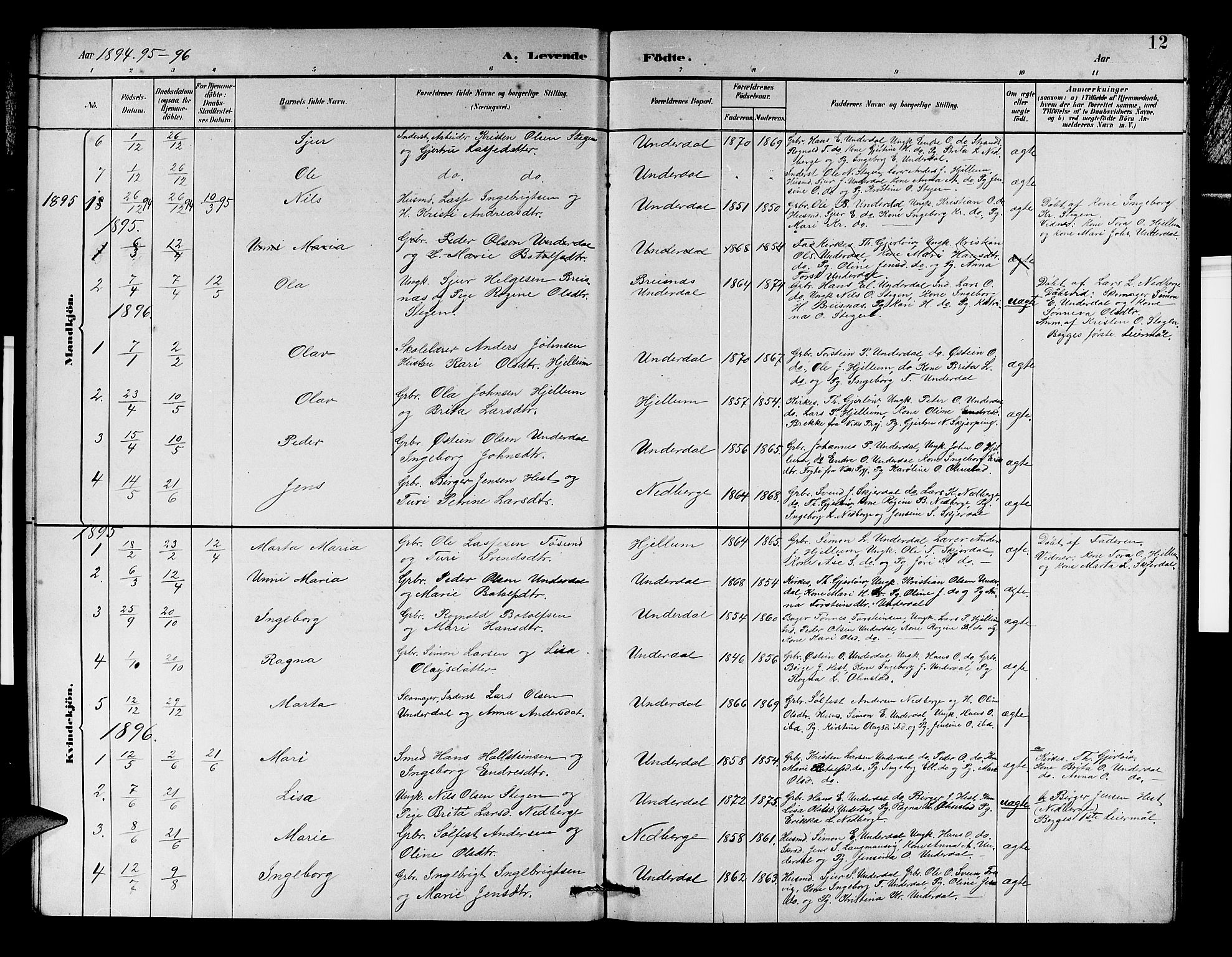 Aurland sokneprestembete, SAB/A-99937/H/Hb/Hbd/L0002: Parish register (copy) no. D 2, 1883-1920, p. 12