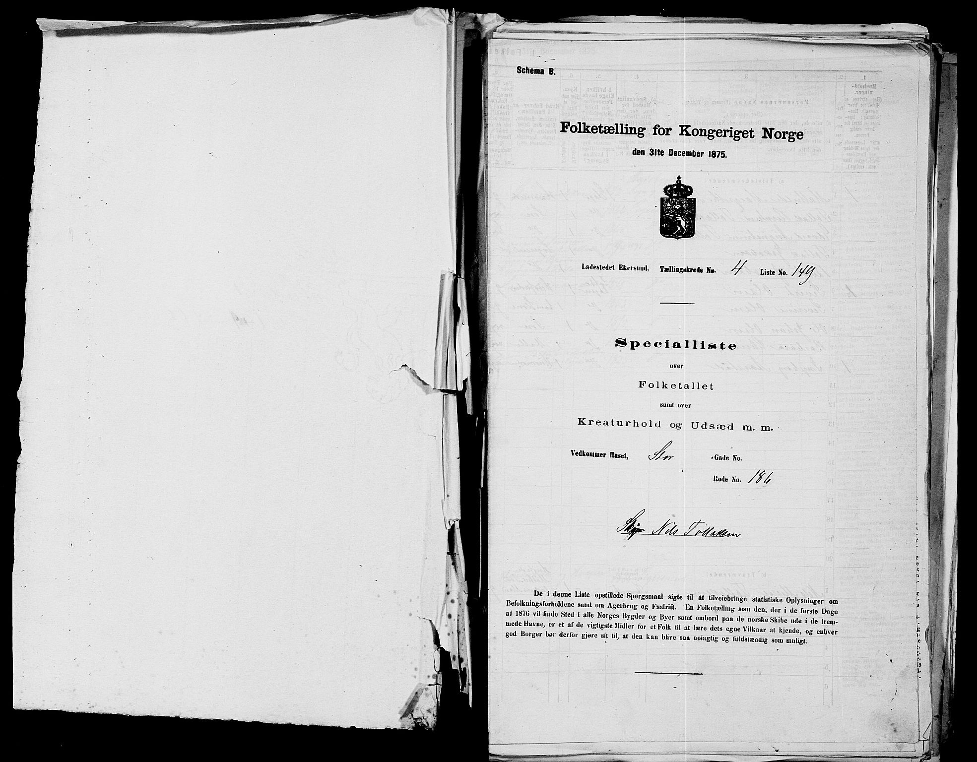 SAST, 1875 census for 1101B Eigersund parish, Egersund town, 1875, p. 317