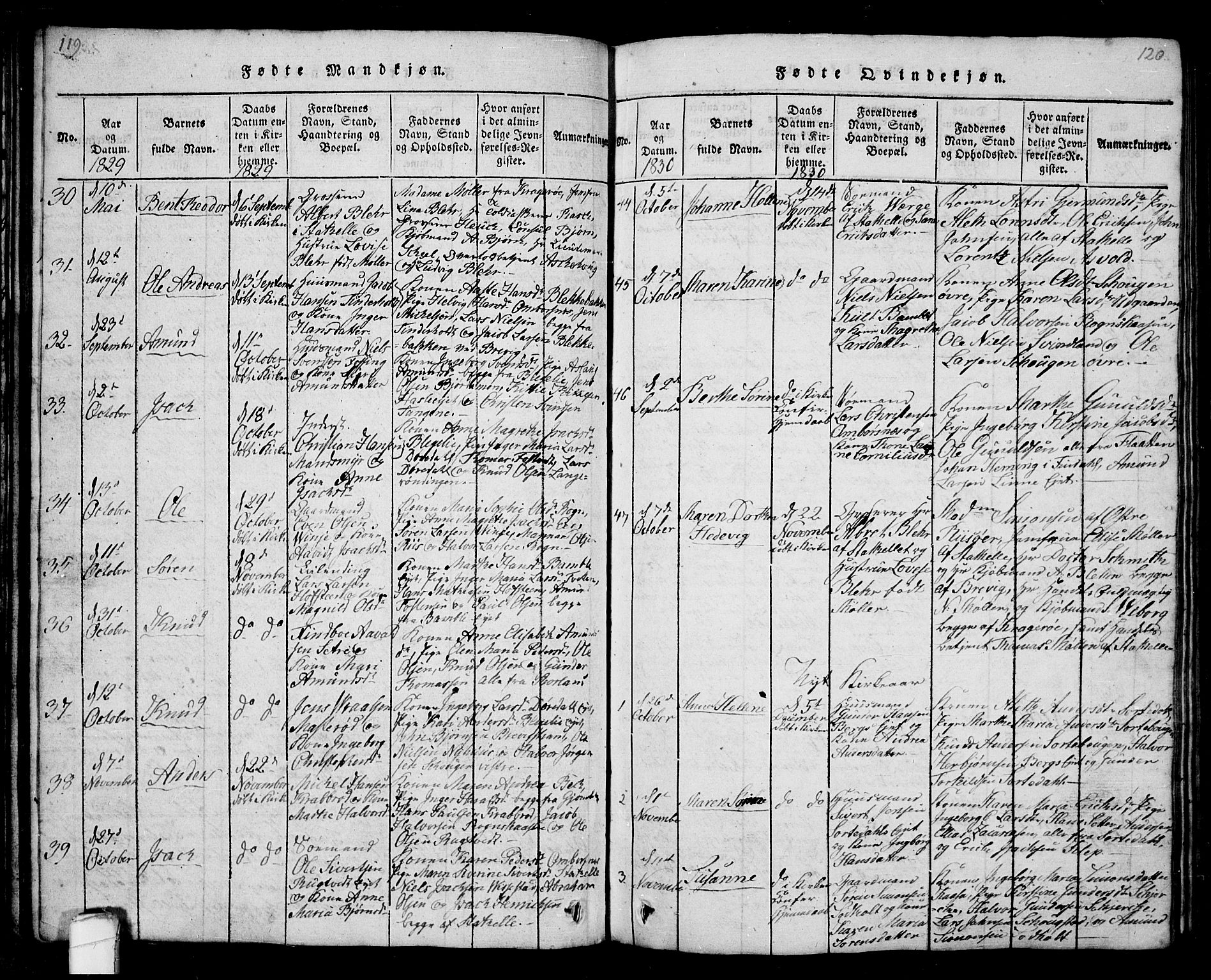 Bamble kirkebøker, AV/SAKO-A-253/G/Ga/L0005: Parish register (copy) no. I 5, 1814-1855, p. 119-120