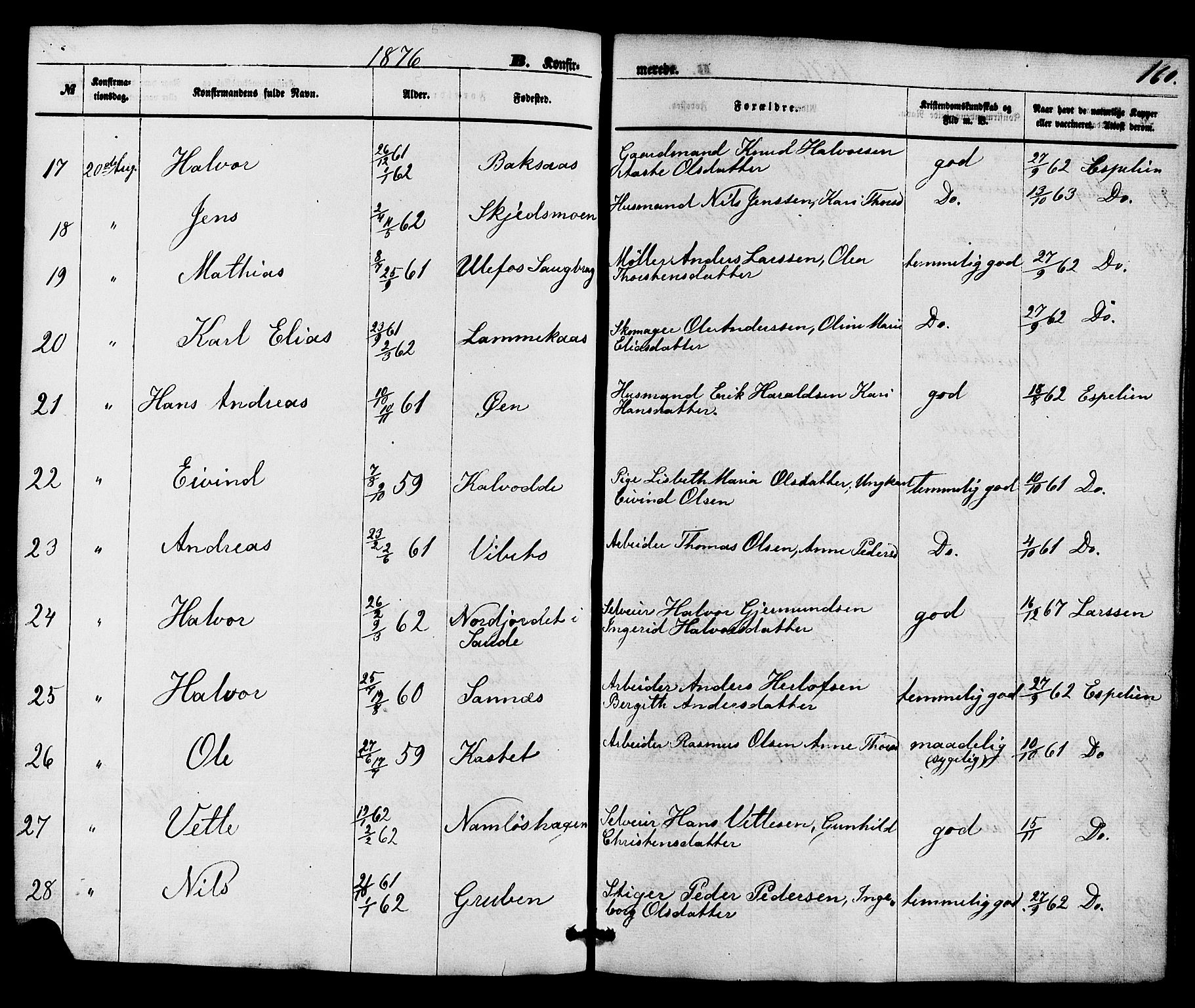 Holla kirkebøker, AV/SAKO-A-272/F/Fa/L0007: Parish register (official) no. 7, 1869-1881, p. 160