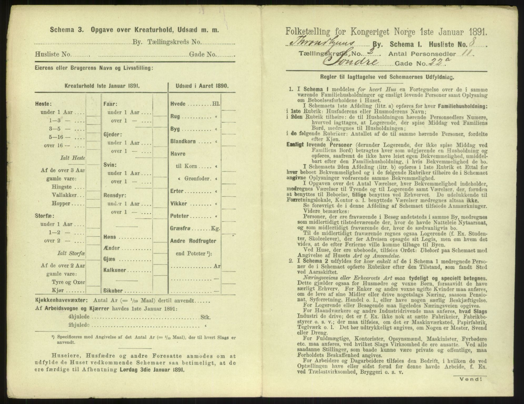 RA, 1891 census for 1601 Trondheim, 1891, p. 250