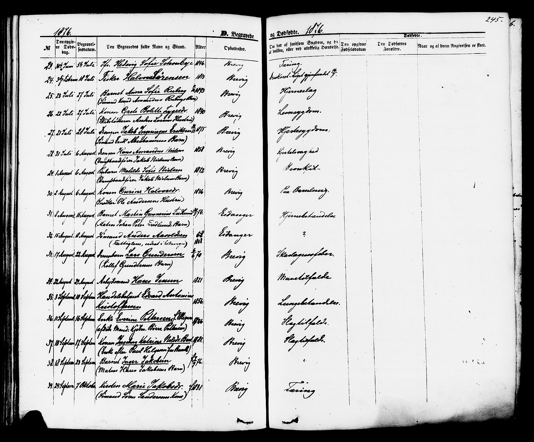 Brevik kirkebøker, AV/SAKO-A-255/F/Fa/L0006: Parish register (official) no. 6, 1866-1881, p. 245