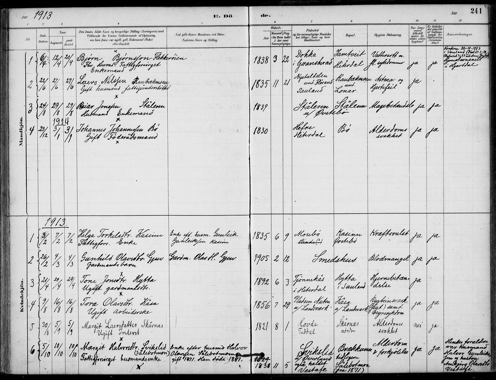 Hjartdal kirkebøker, SAKO/A-270/F/Fb/L0002: Parish register (official) no. II 2, 1880-1932, p. 241