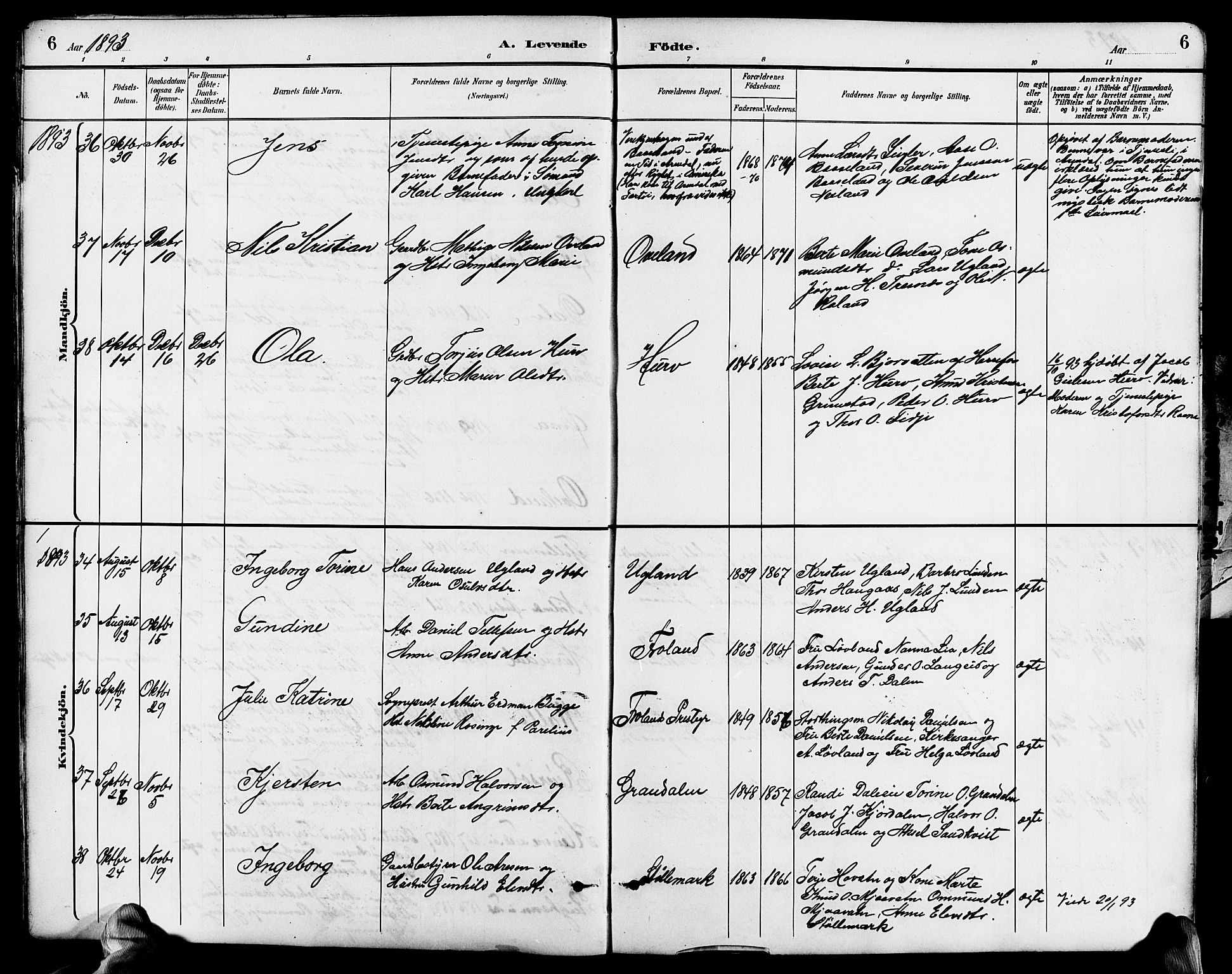 Froland sokneprestkontor, AV/SAK-1111-0013/F/Fb/L0010: Parish register (copy) no. B 10, 1893-1920, p. 6