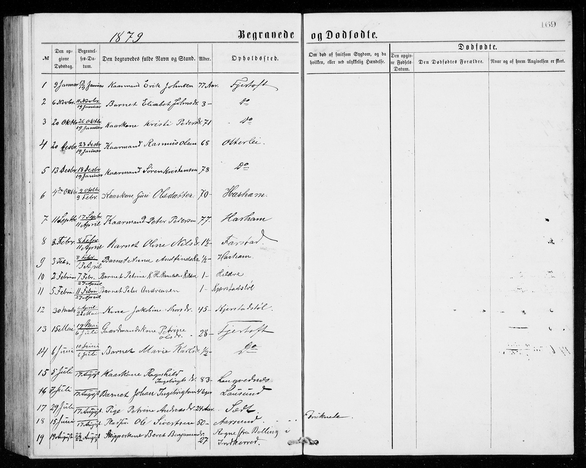 Ministerialprotokoller, klokkerbøker og fødselsregistre - Møre og Romsdal, AV/SAT-A-1454/536/L0509: Parish register (copy) no. 536C04, 1871-1881, p. 169