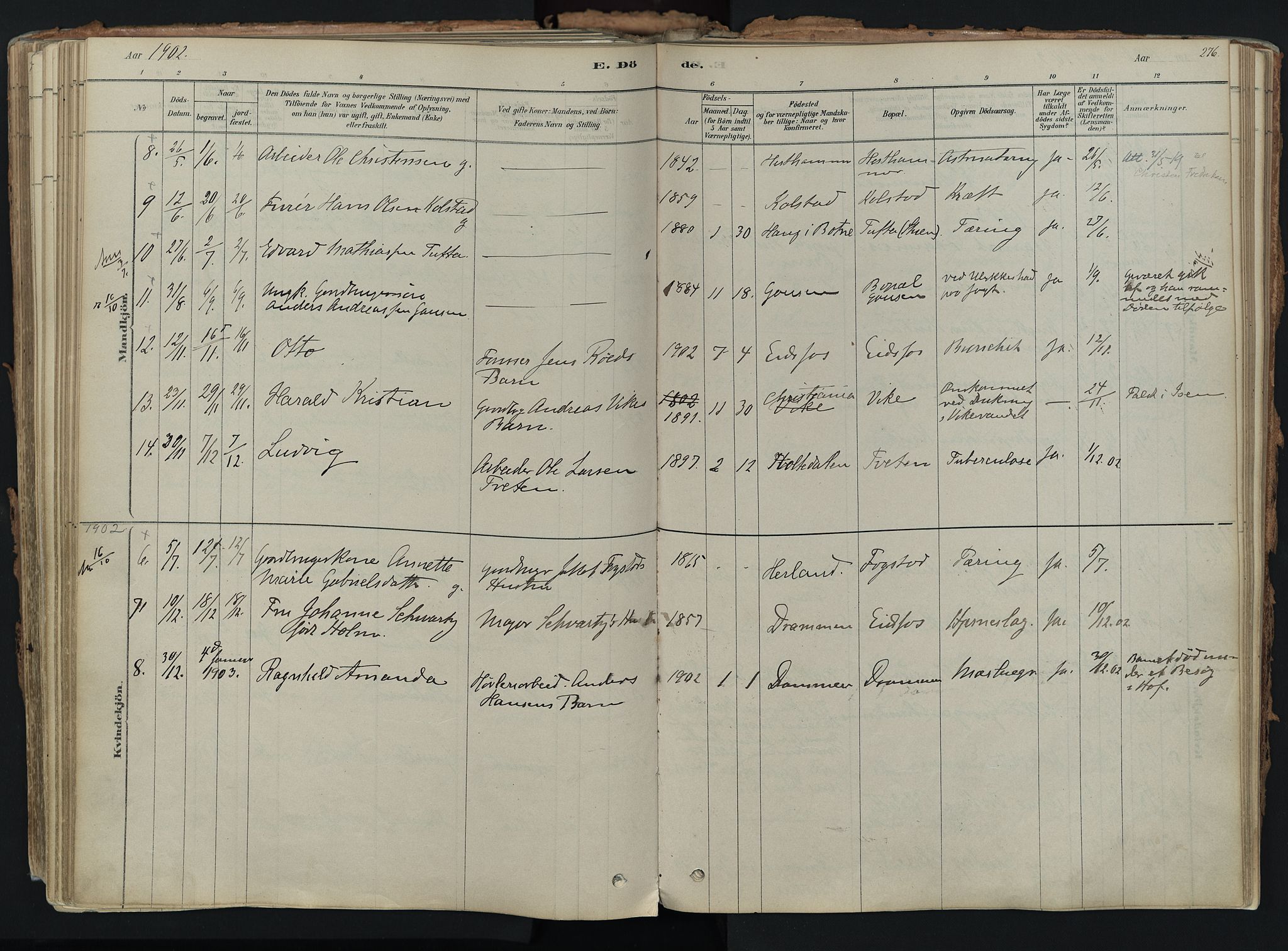 Hof kirkebøker, AV/SAKO-A-64/F/Fa/L0007: Parish register (official) no. I 7, 1878-1940, p. 276