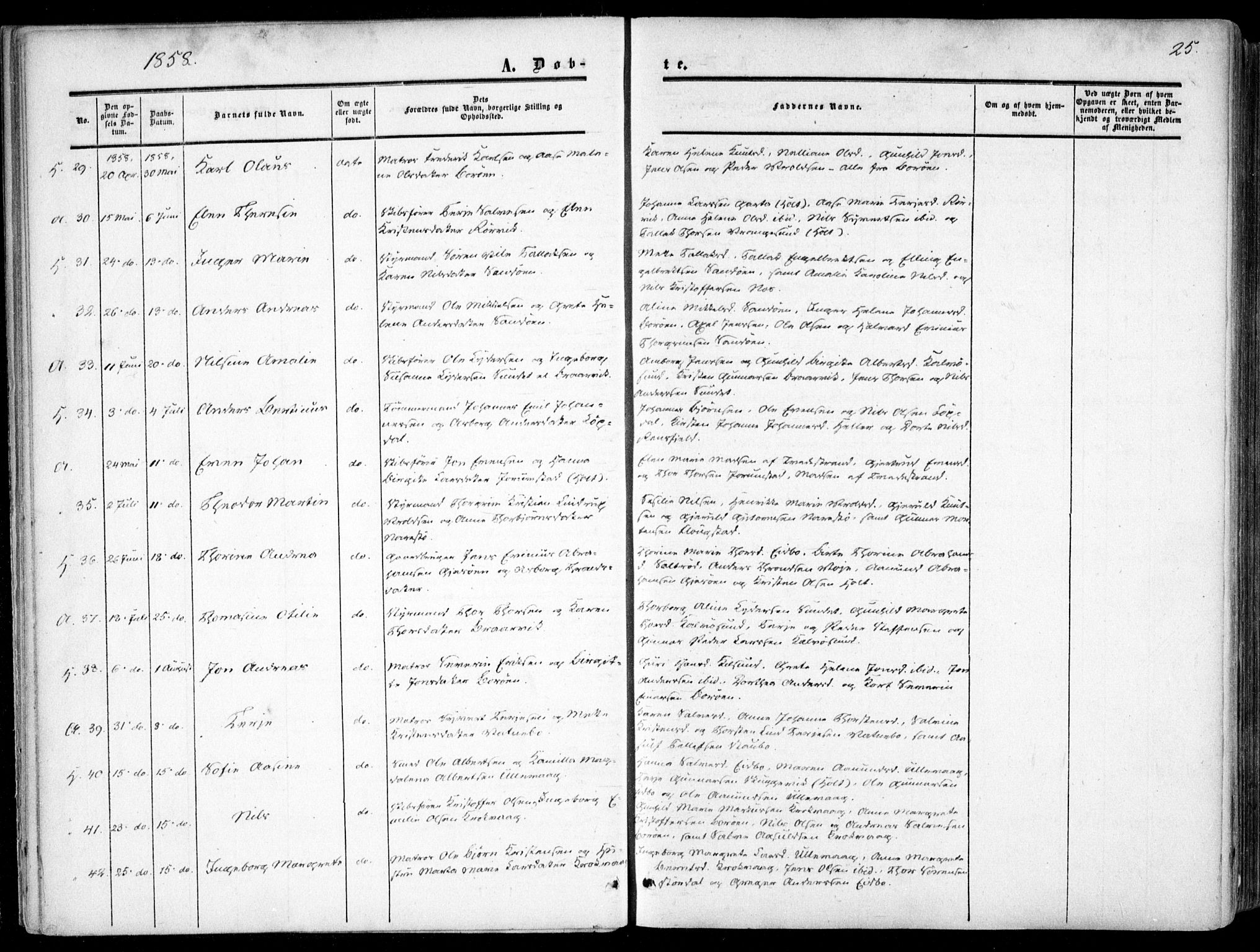 Dypvåg sokneprestkontor, SAK/1111-0007/F/Fa/Faa/L0006: Parish register (official) no. A 6, 1855-1872, p. 25