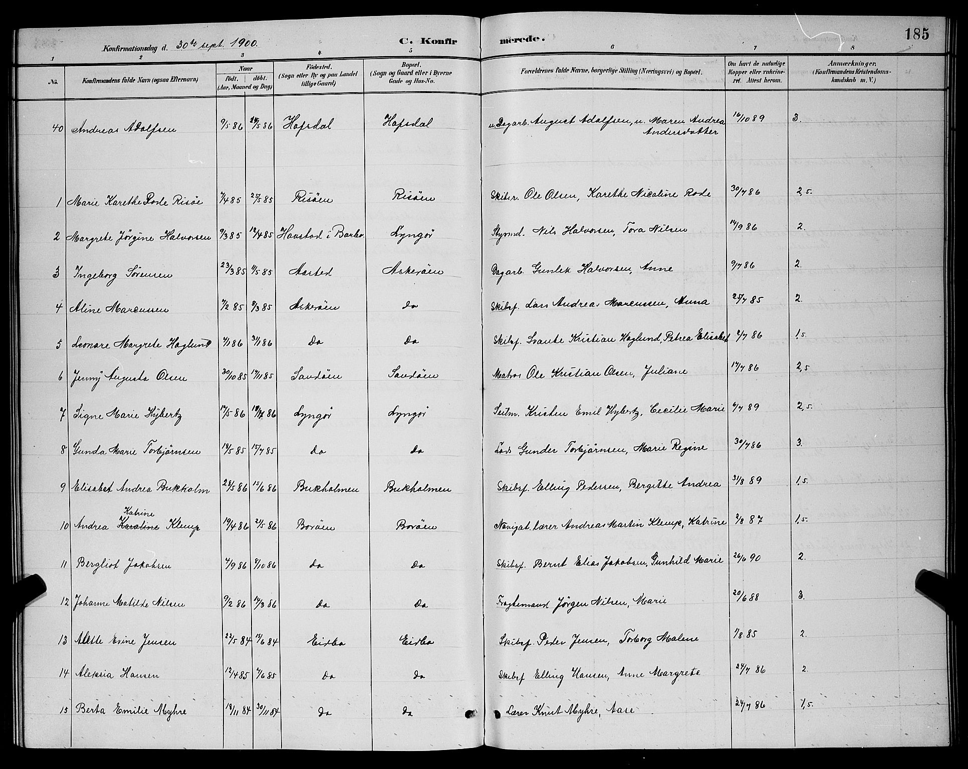 Dypvåg sokneprestkontor, SAK/1111-0007/F/Fb/Fba/L0013: Parish register (copy) no. B 13, 1887-1900, p. 185