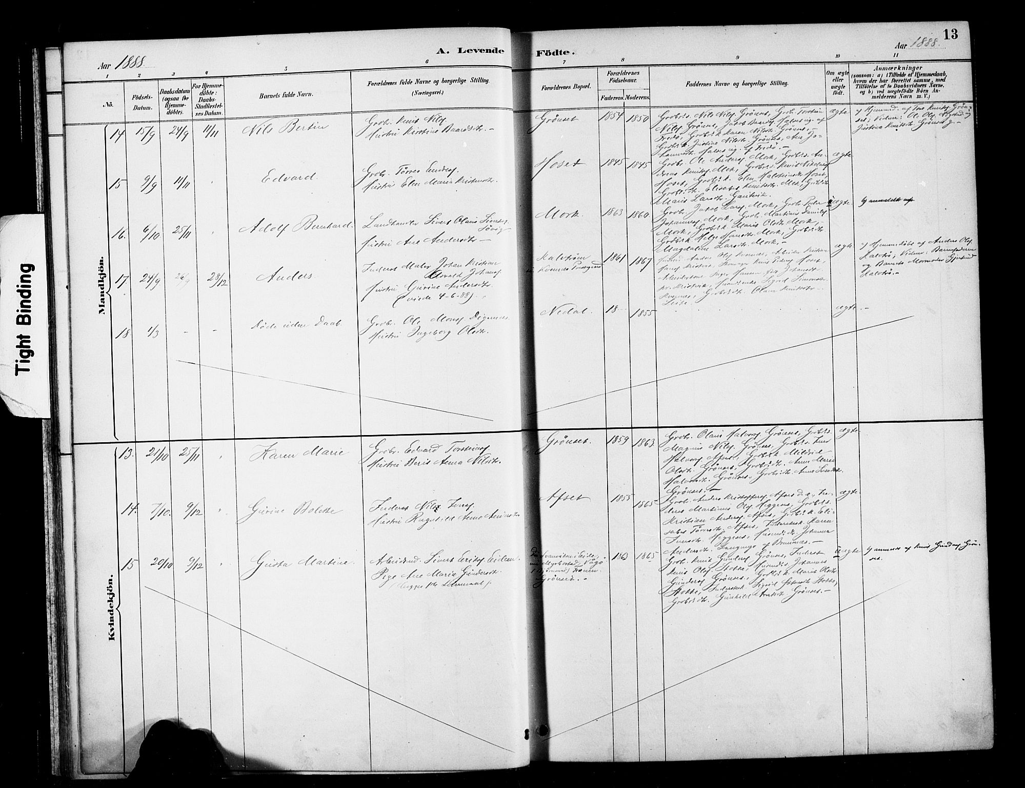 Ministerialprotokoller, klokkerbøker og fødselsregistre - Møre og Romsdal, AV/SAT-A-1454/568/L0809: Parish register (official) no. 568A13, 1884-1900, p. 13