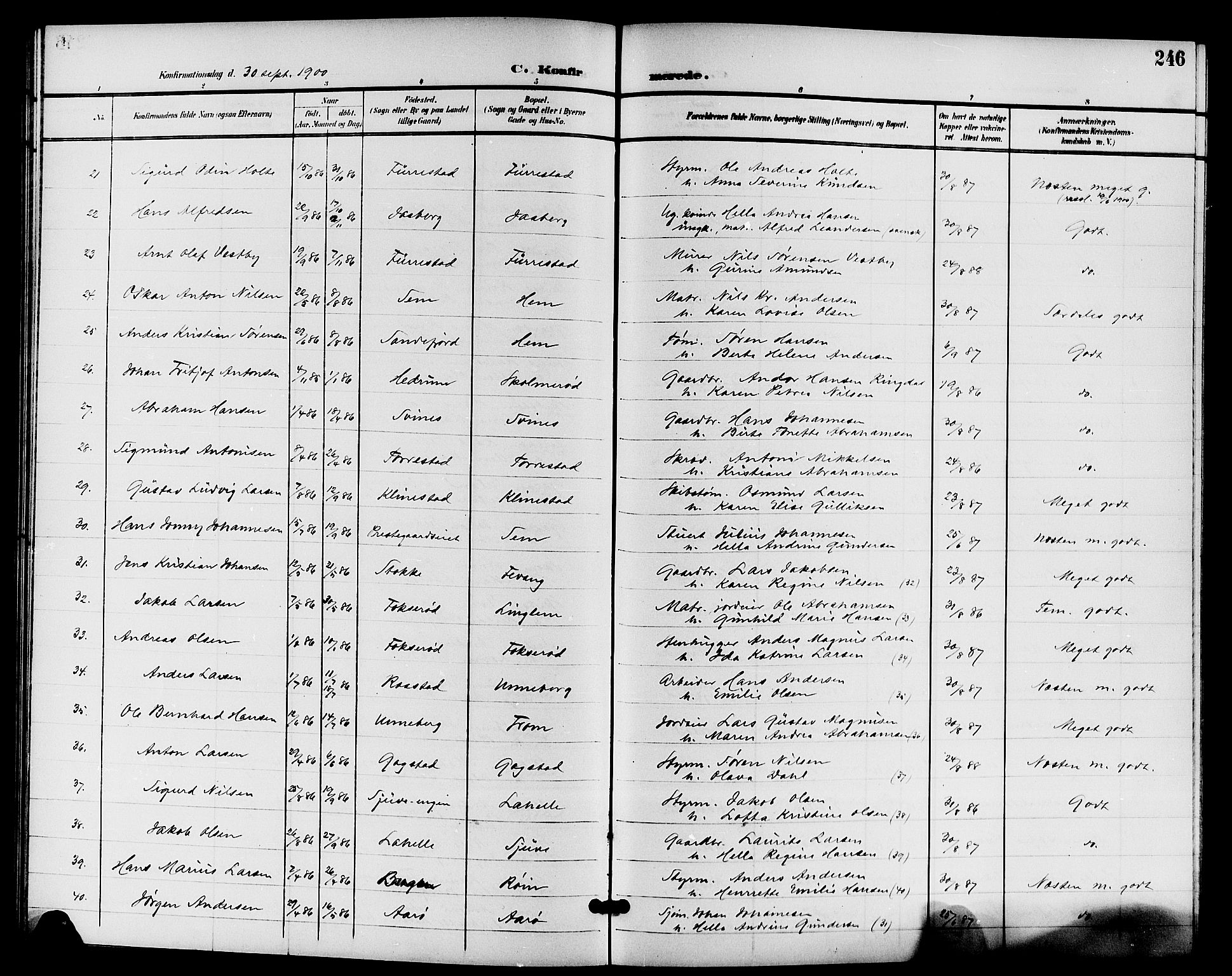 Sandar kirkebøker, AV/SAKO-A-243/G/Ga/L0002: Parish register (copy) no. 2, 1900-1915, p. 246