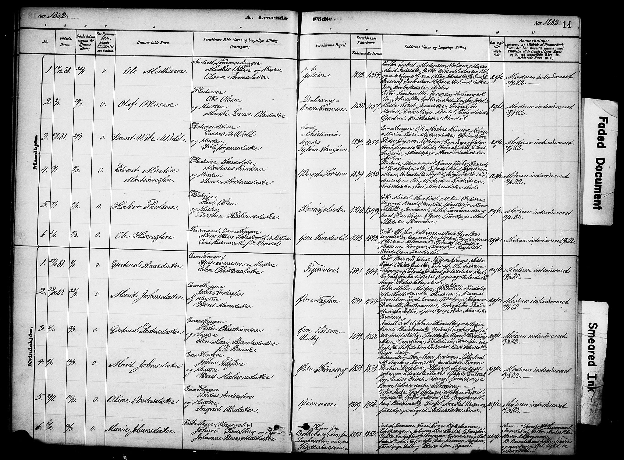 Tynset prestekontor, SAH/PREST-058/H/Ha/Hab/L0006: Parish register (copy) no. 6, 1880-1899, p. 14